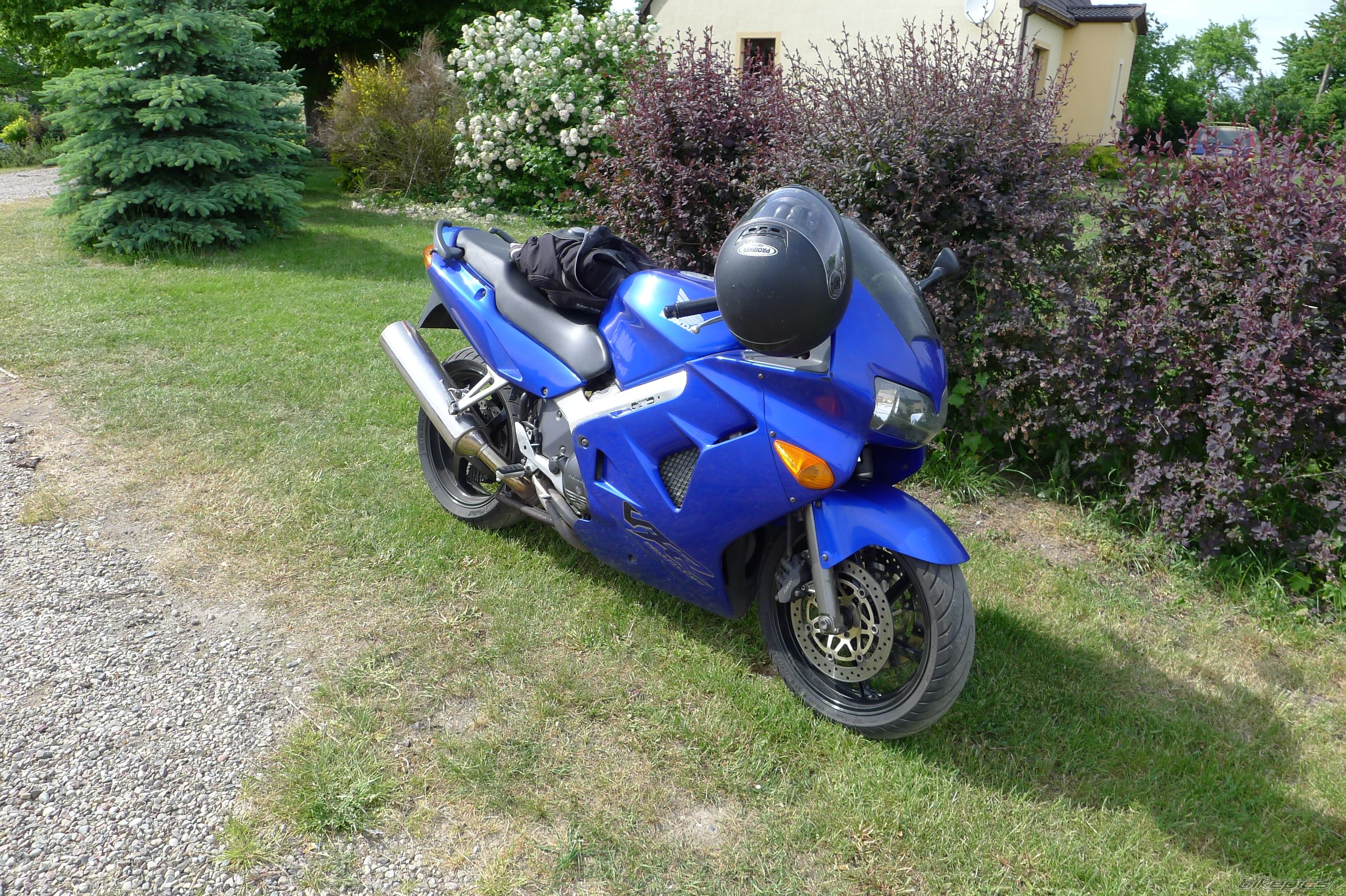 Photo 2407909