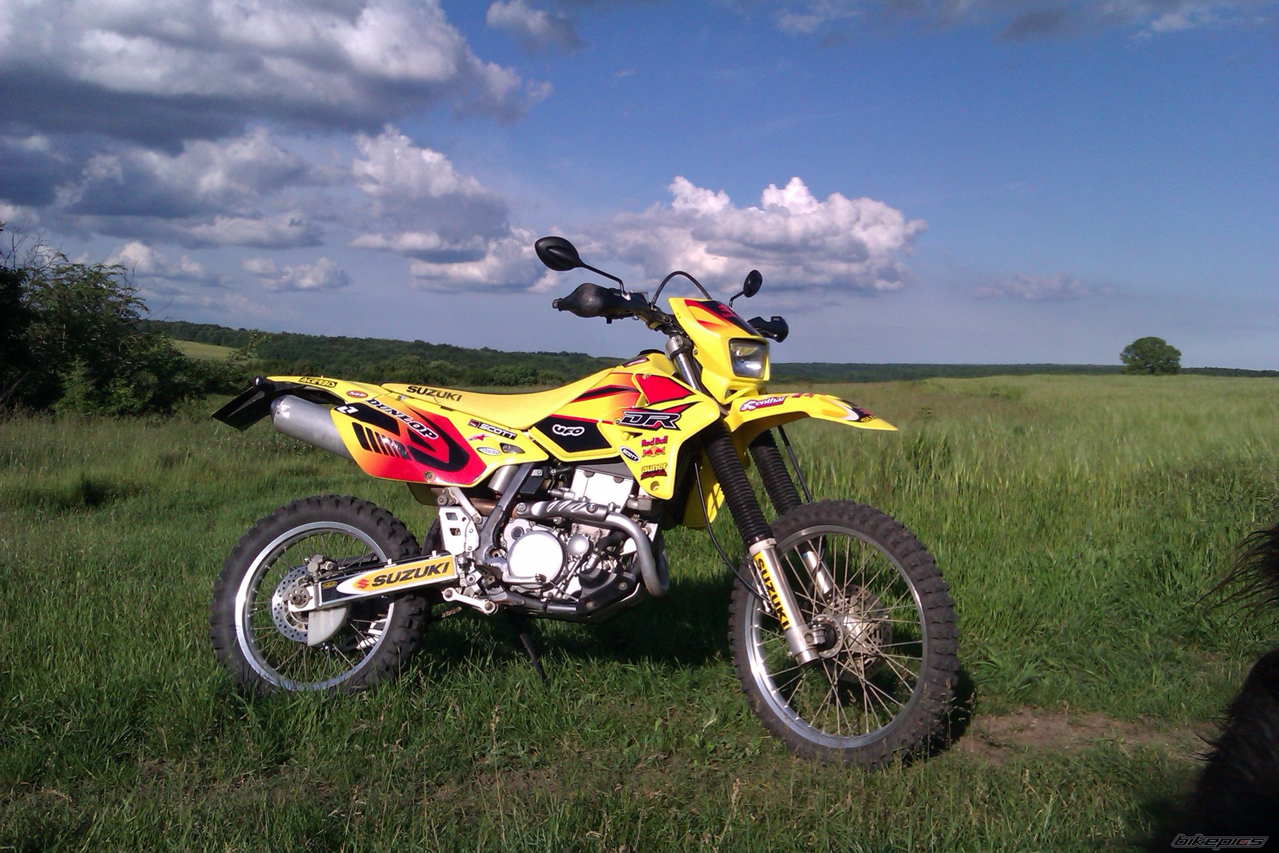 Photo 2407945