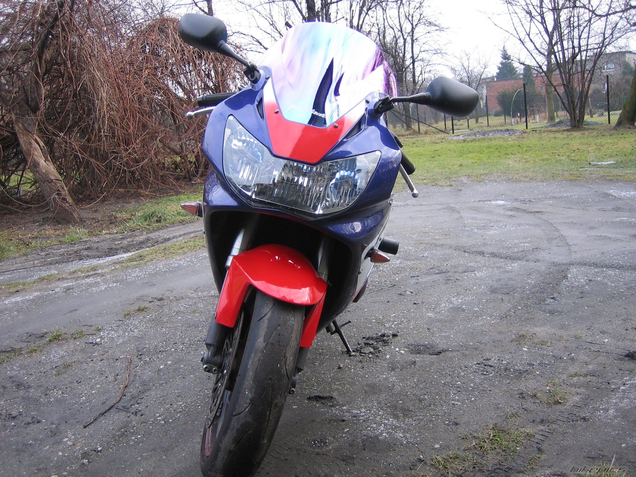 Photo 2407947