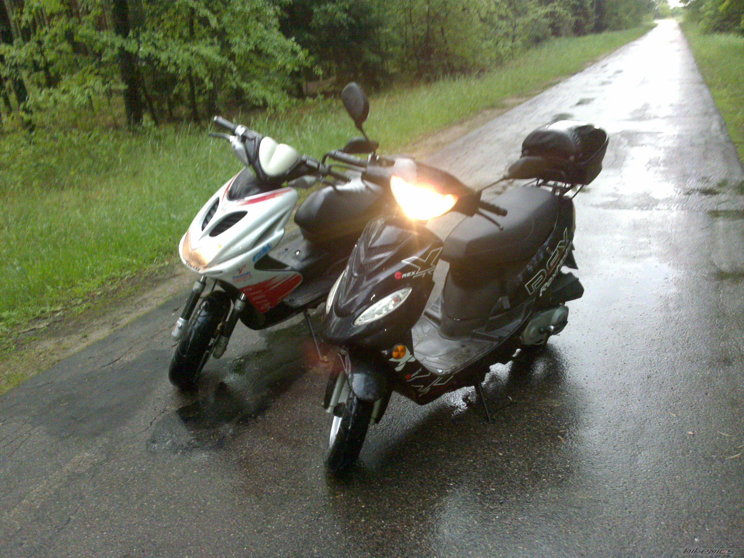 Photo 2408093