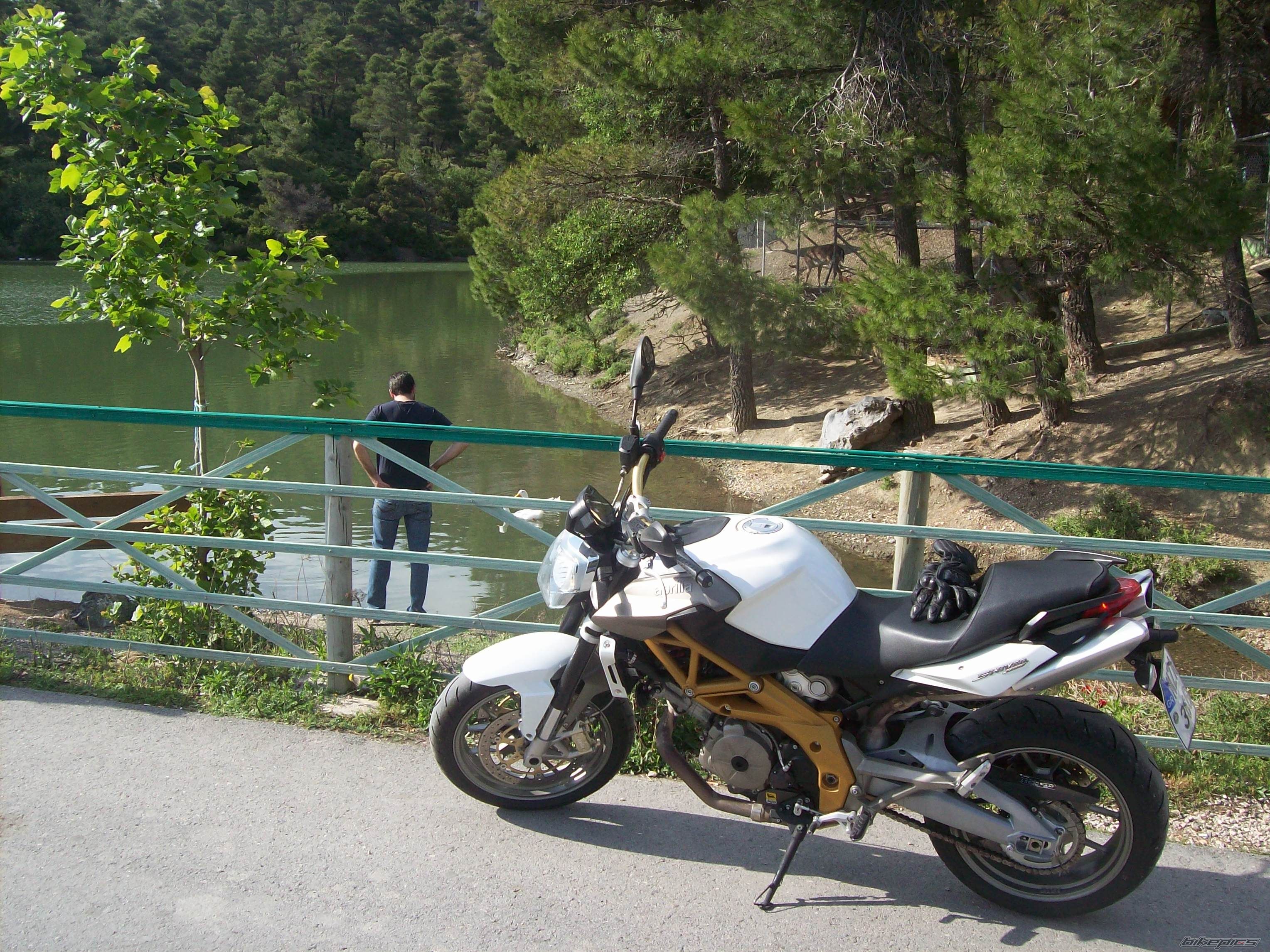 Photo 2408105