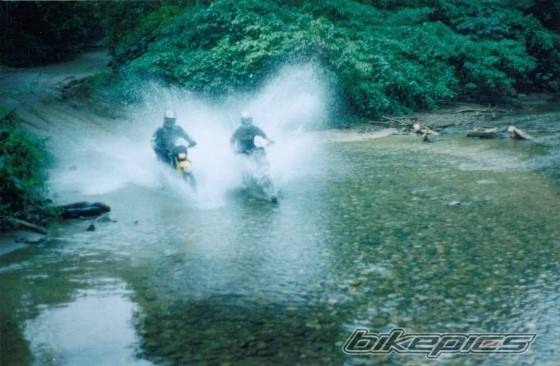 Photo 240832
