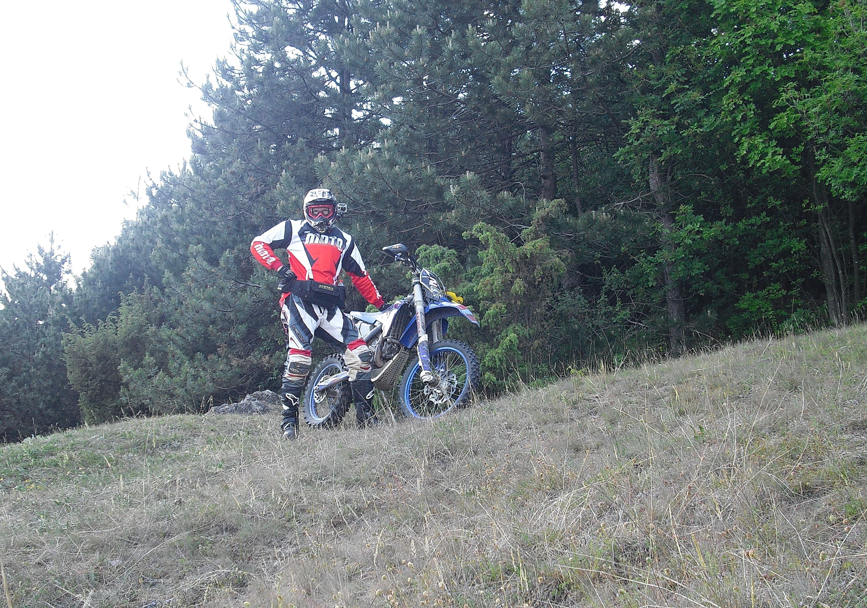 Photo 2408414