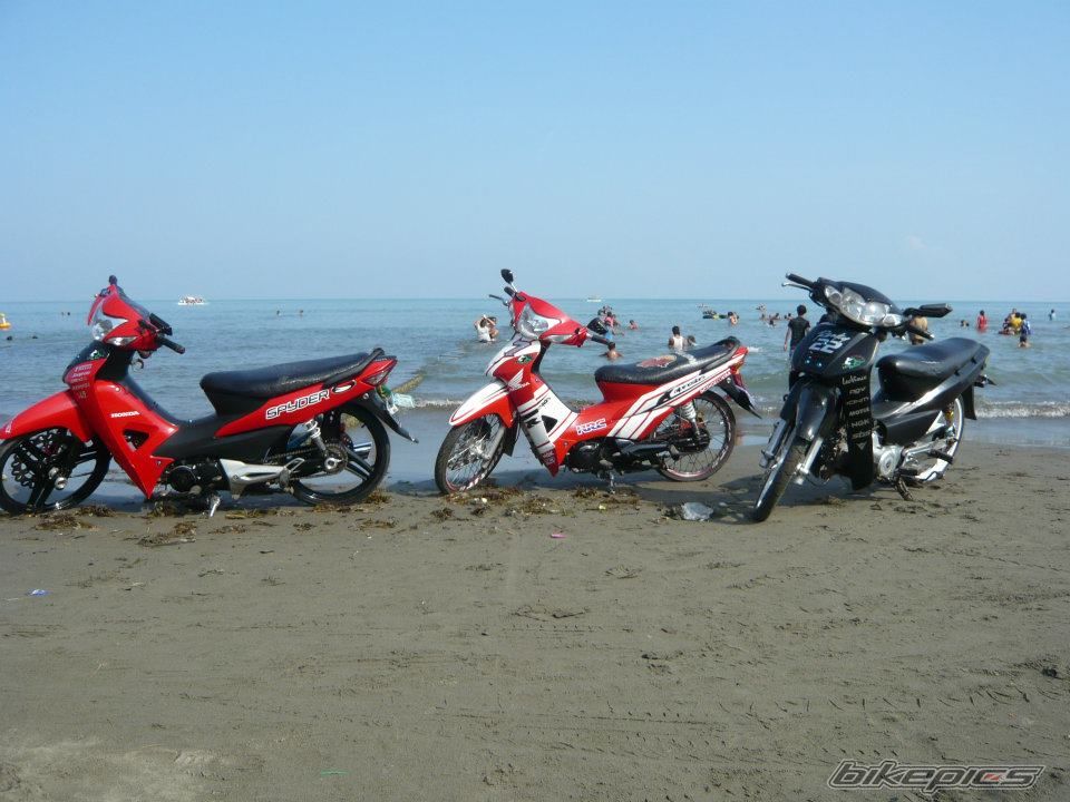 Photo 2408498