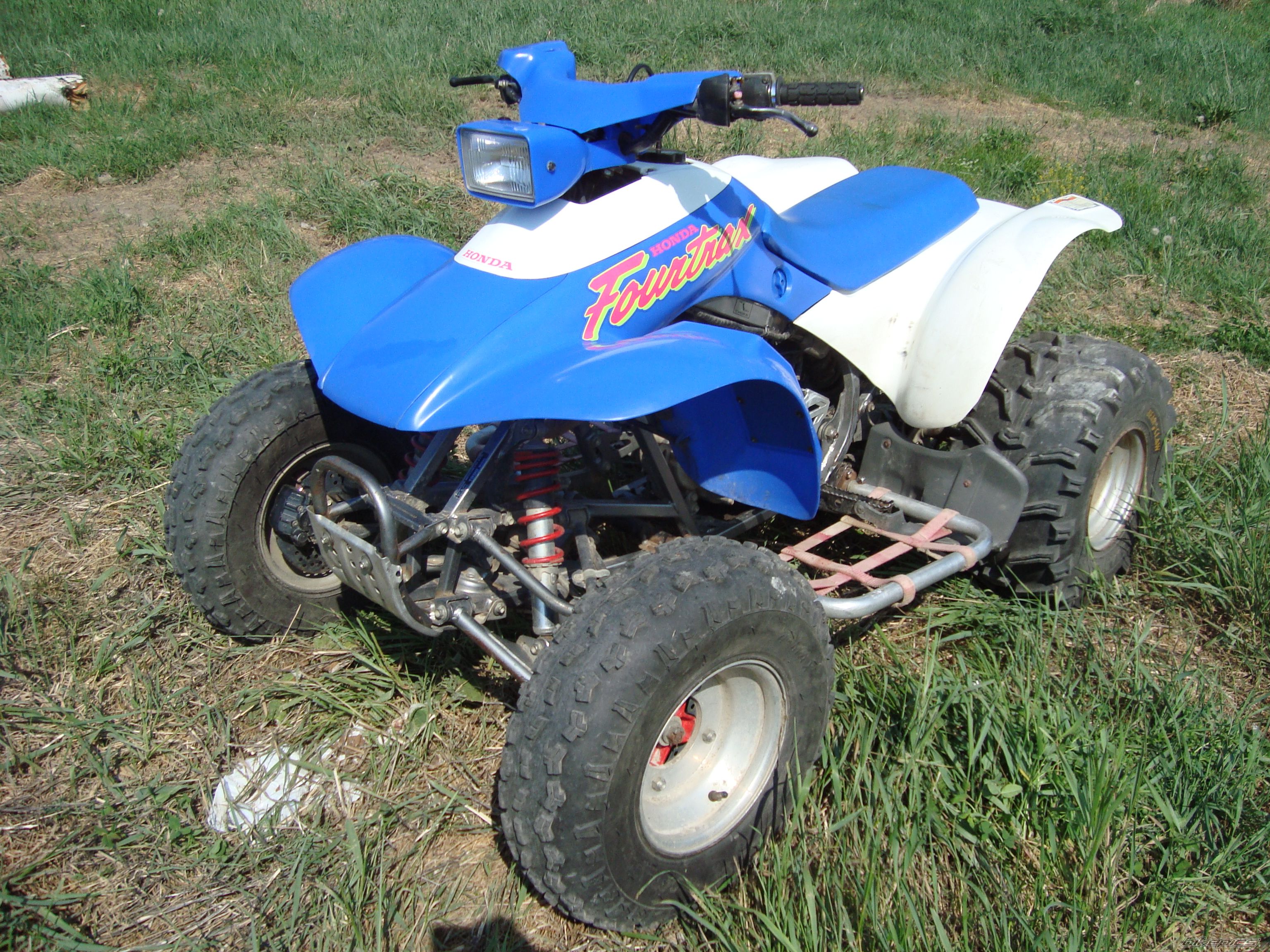 Photo 2408504