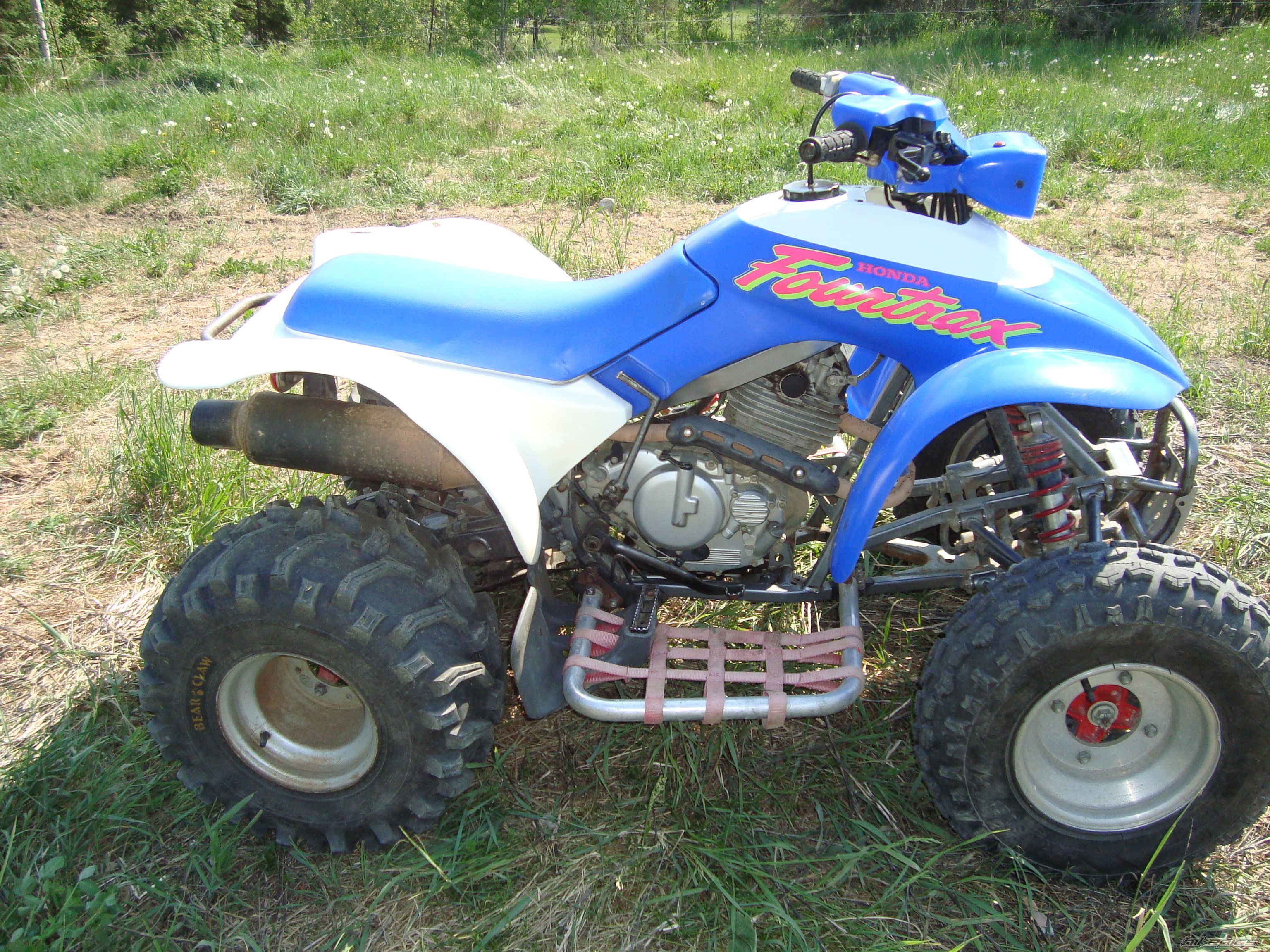 Photo 2408507