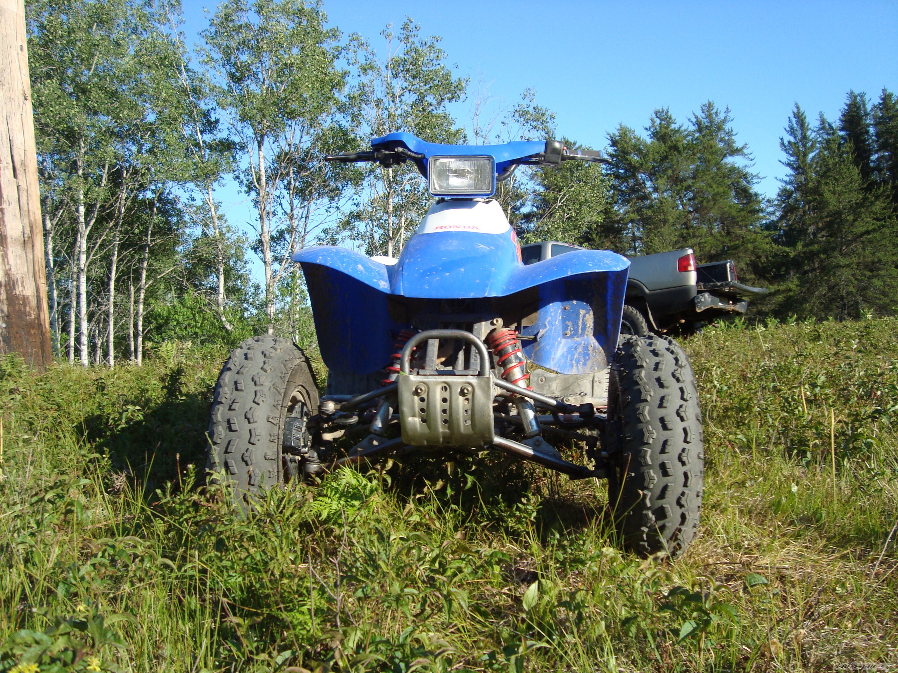 Photo 2408511