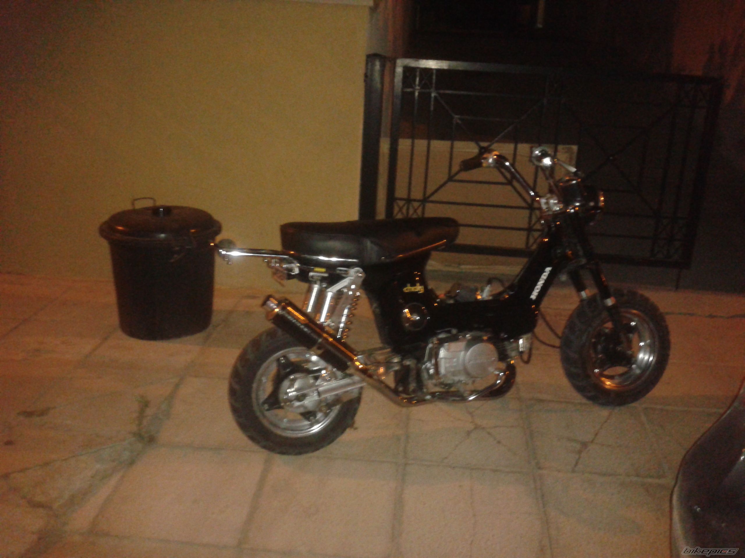 Photo 2408569