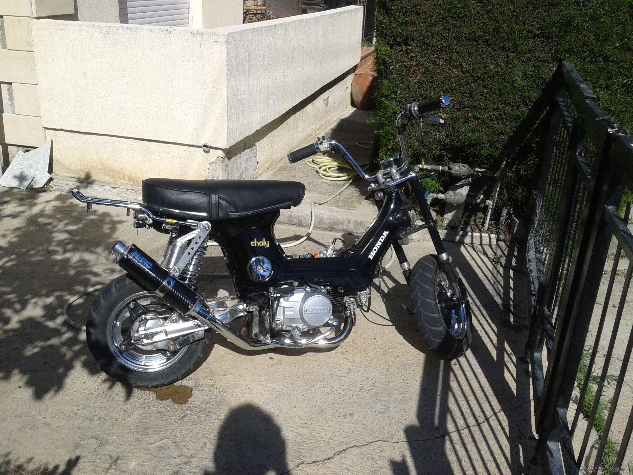 Photo 2408574