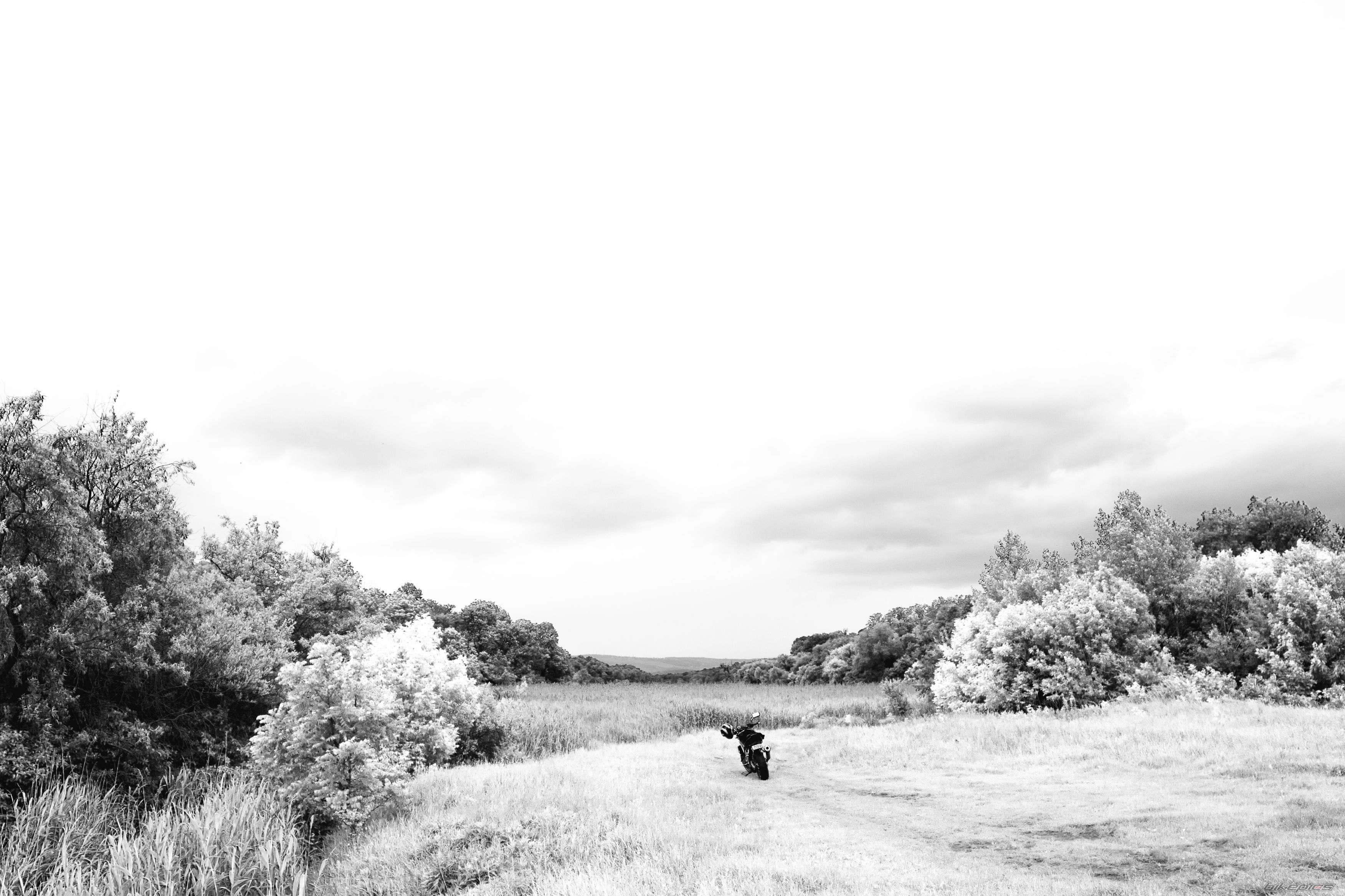 Photo 2408728