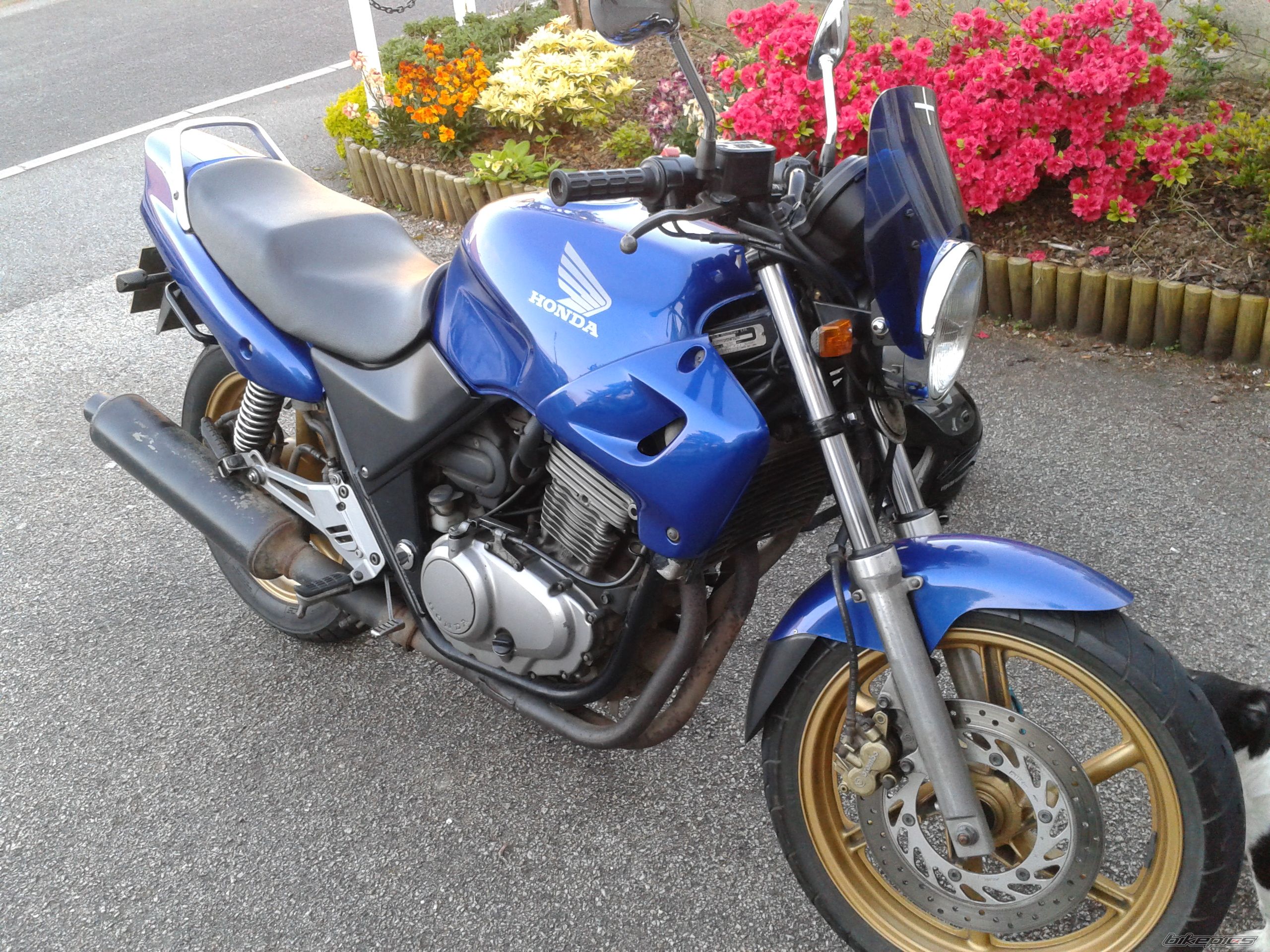 Photo 2408732