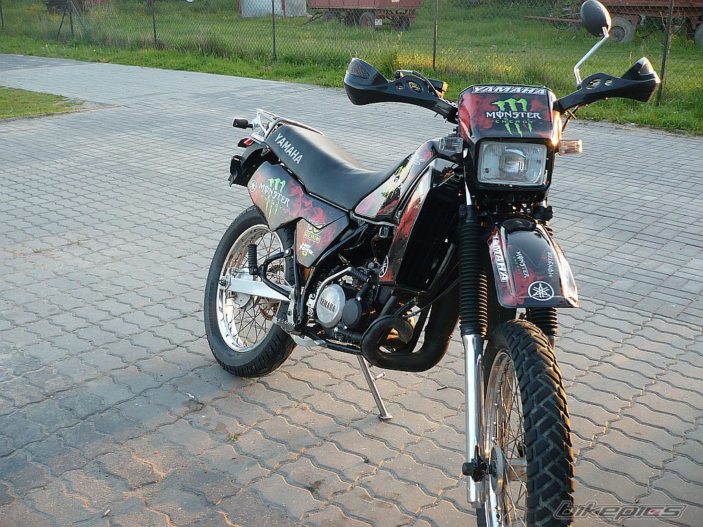 Photo 2408822