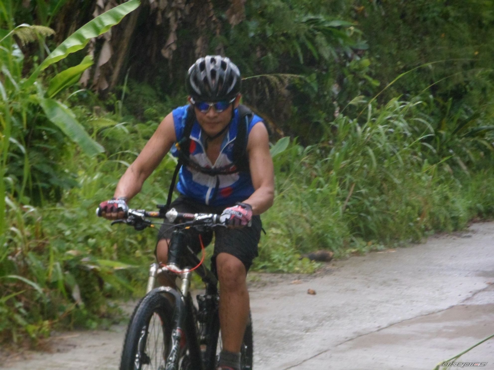 Bike Photo 2408865