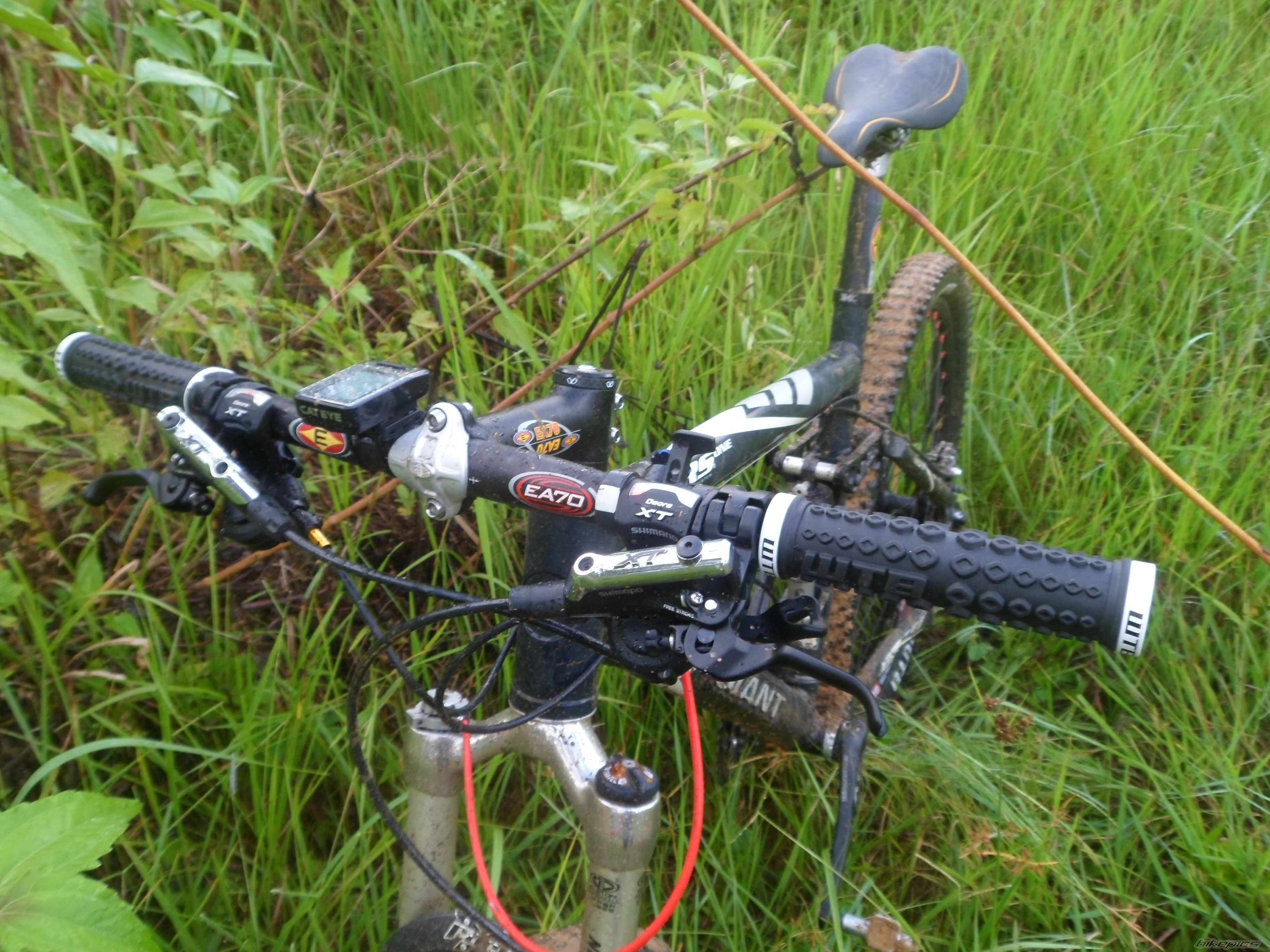 Photo 2408870