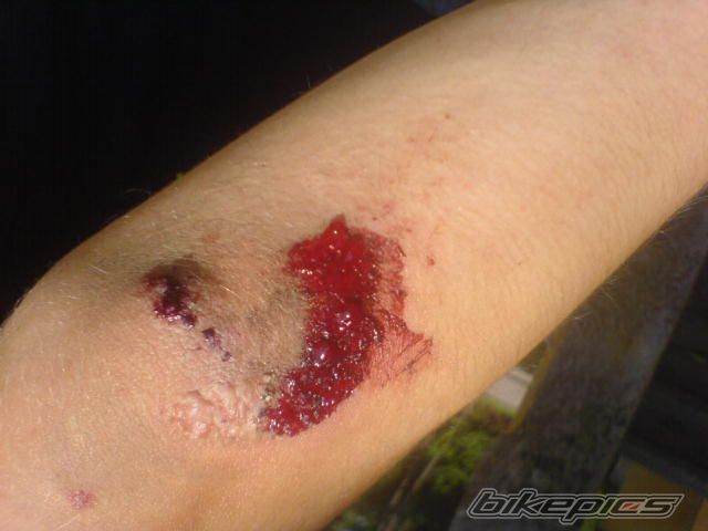 Photo 2408897