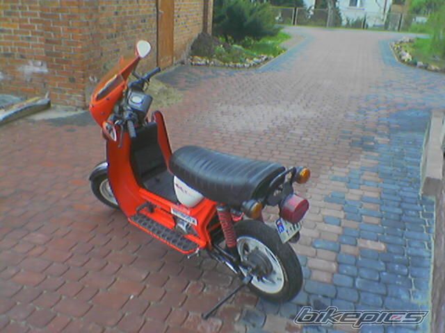 Photo 2408940