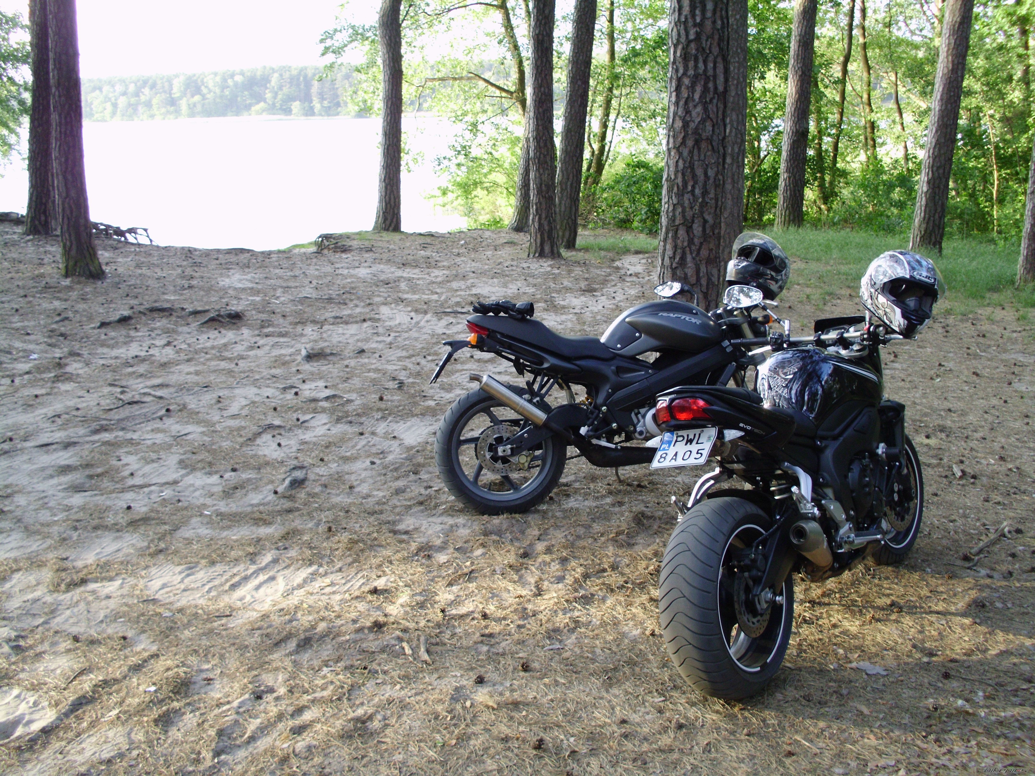 Photo 2408954