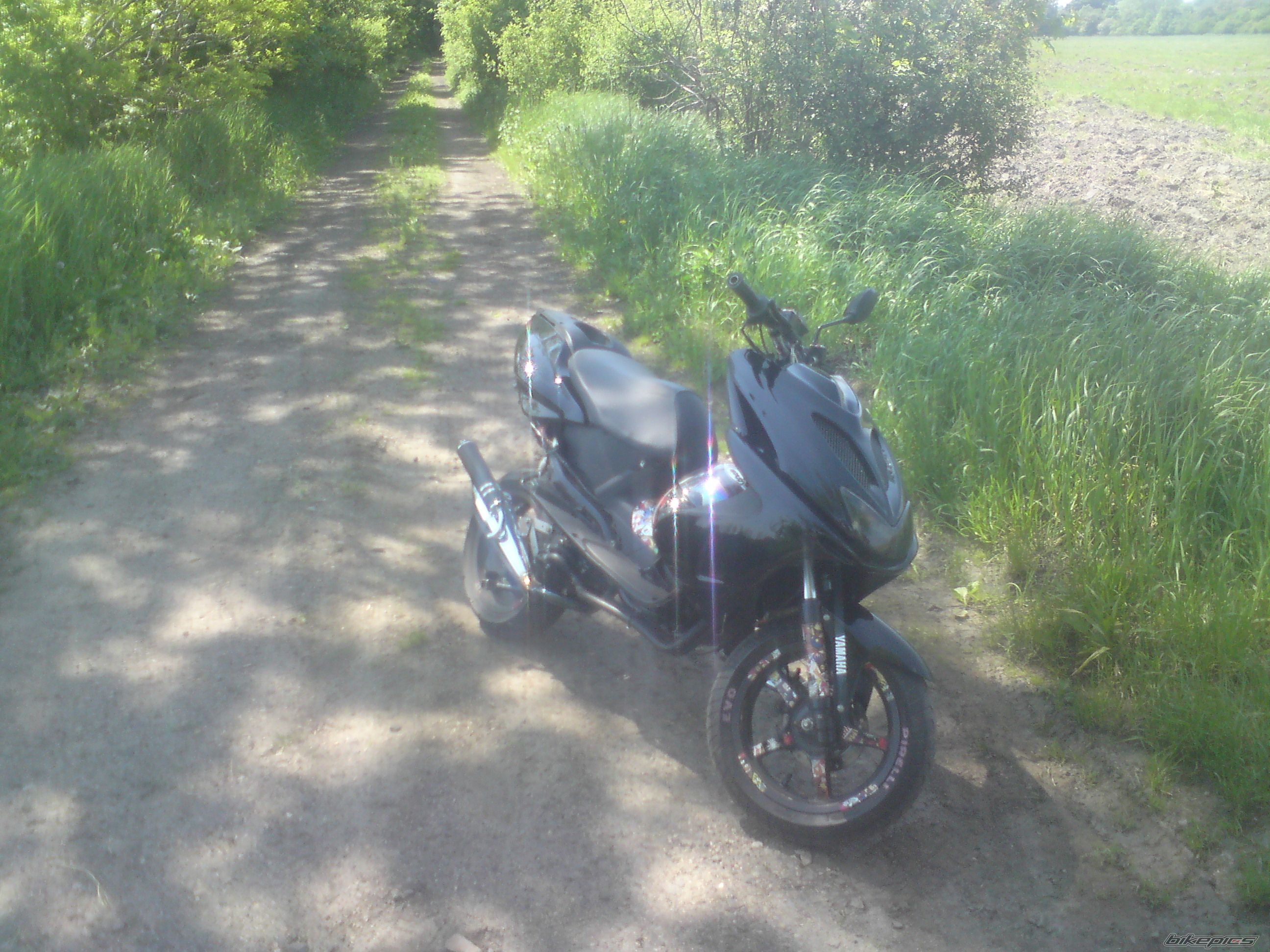 Photo 2409048