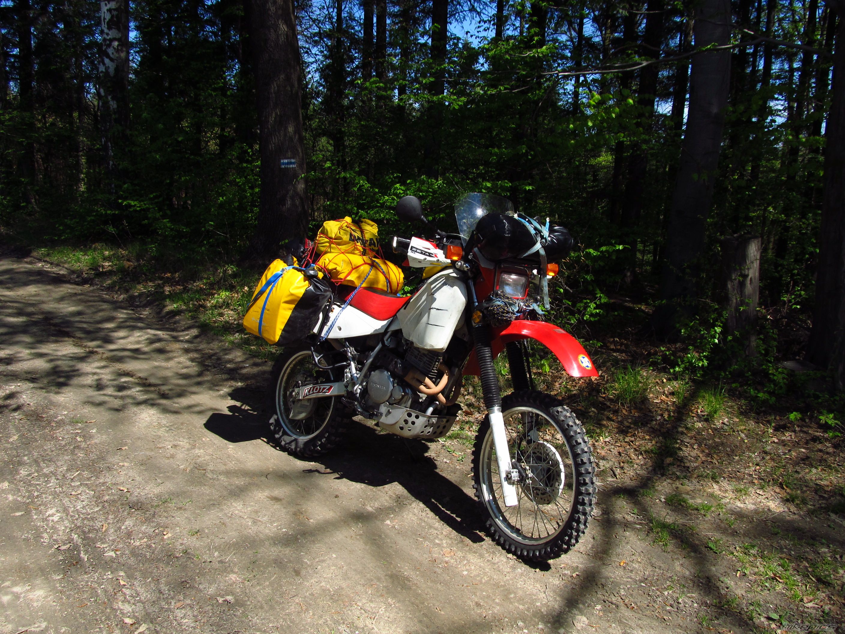 Photo 2409069