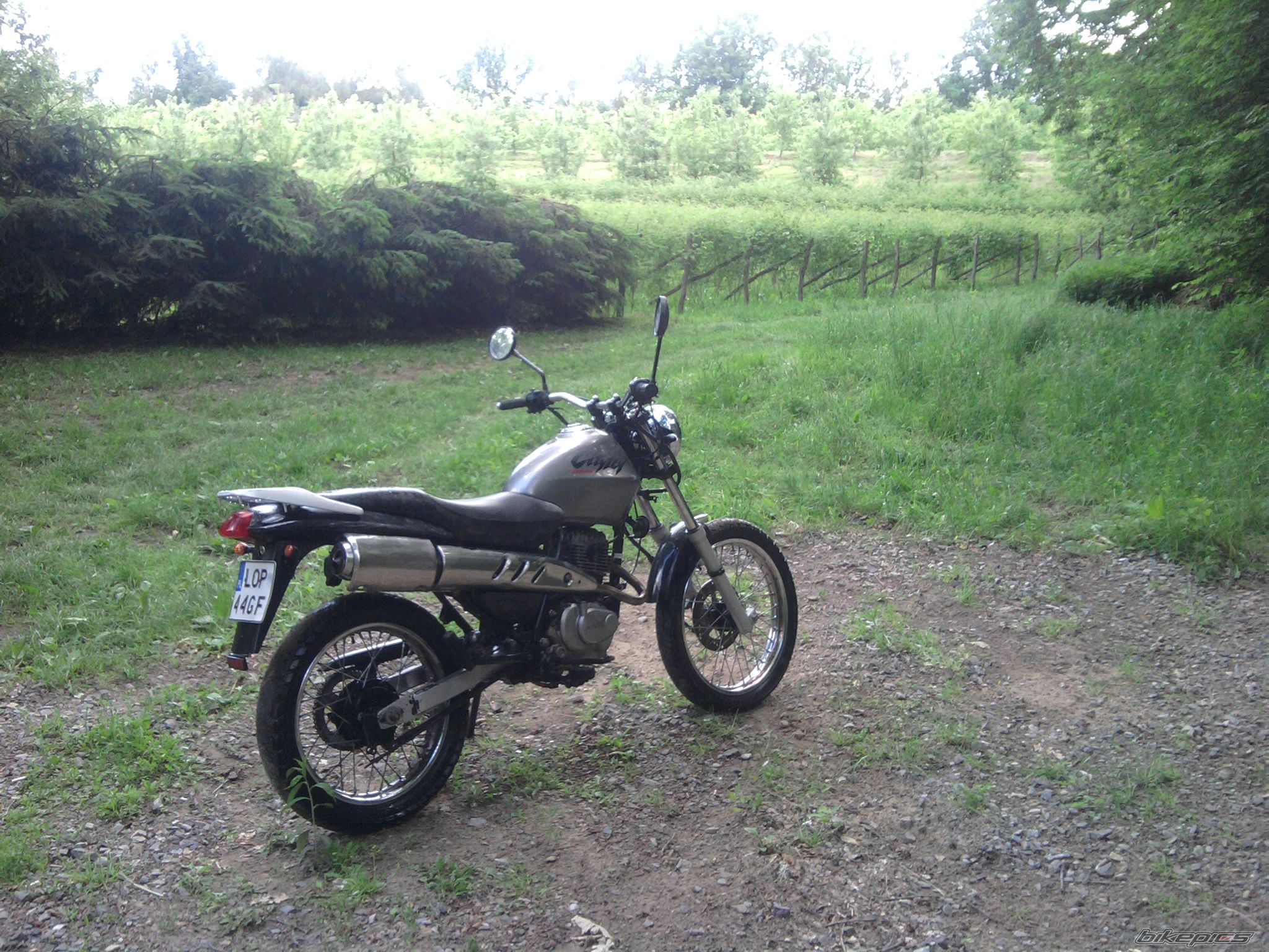 Photo 2409501
