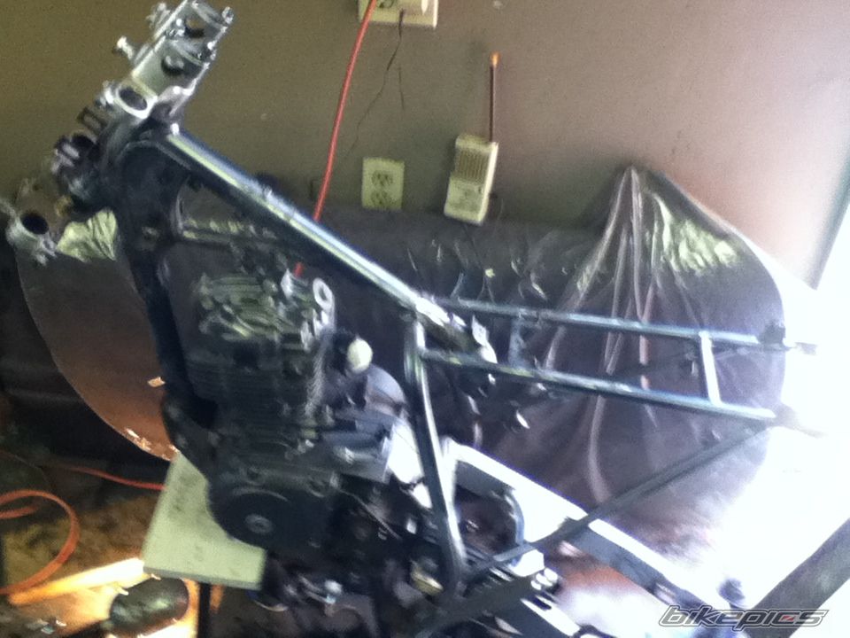 Photo 2409541