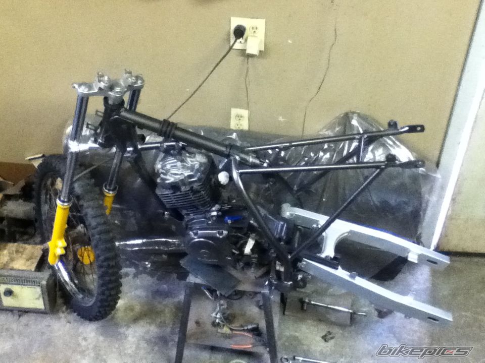 Photo 2409543