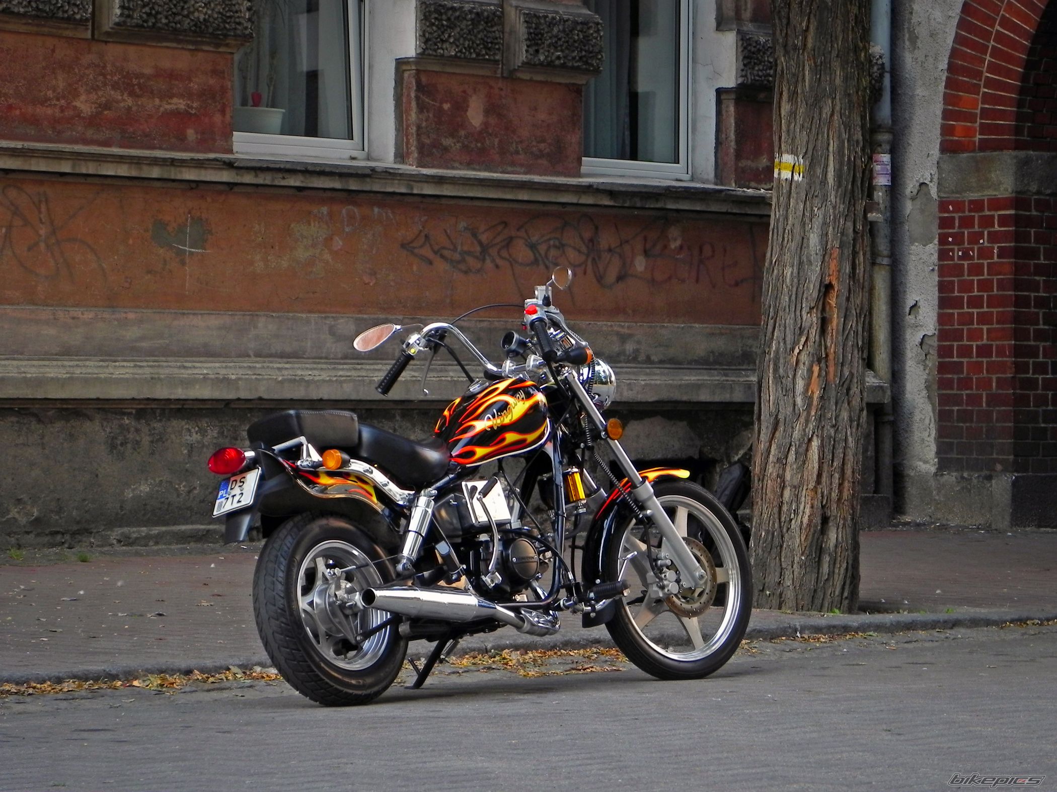Photo 2409590