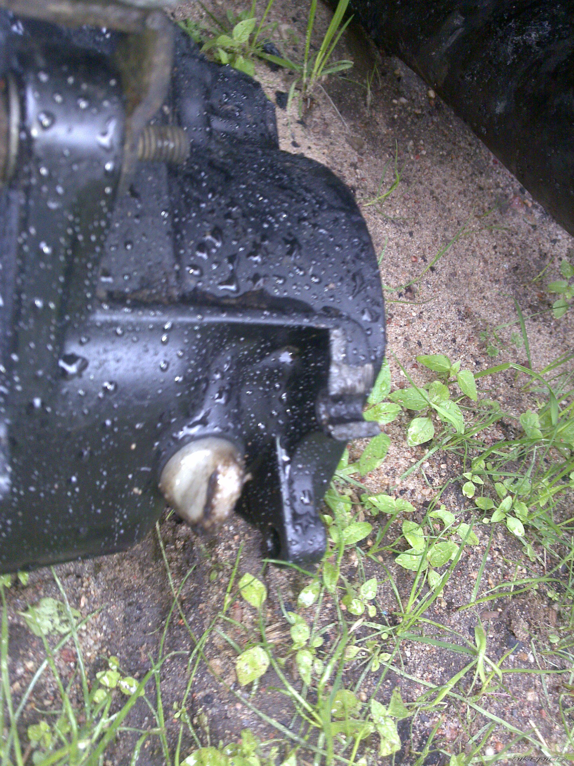 Photo 2409613