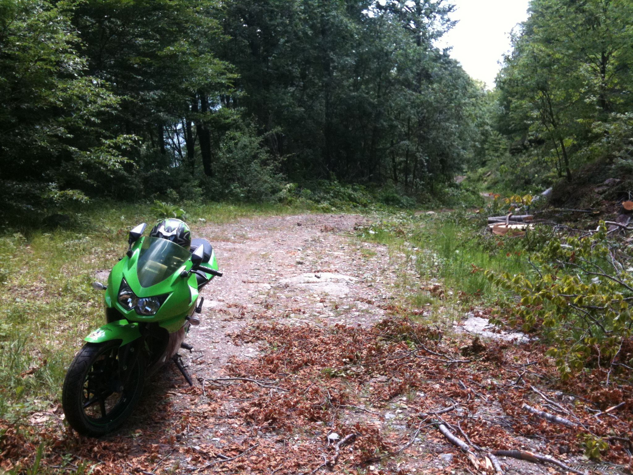 Photo 2409630