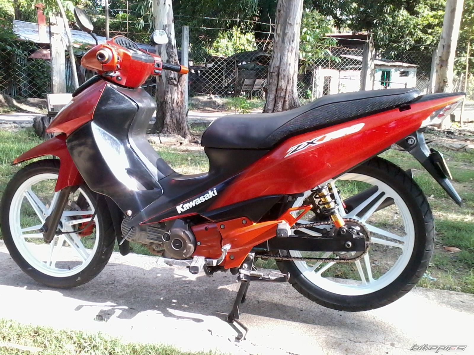 Photo 2409728