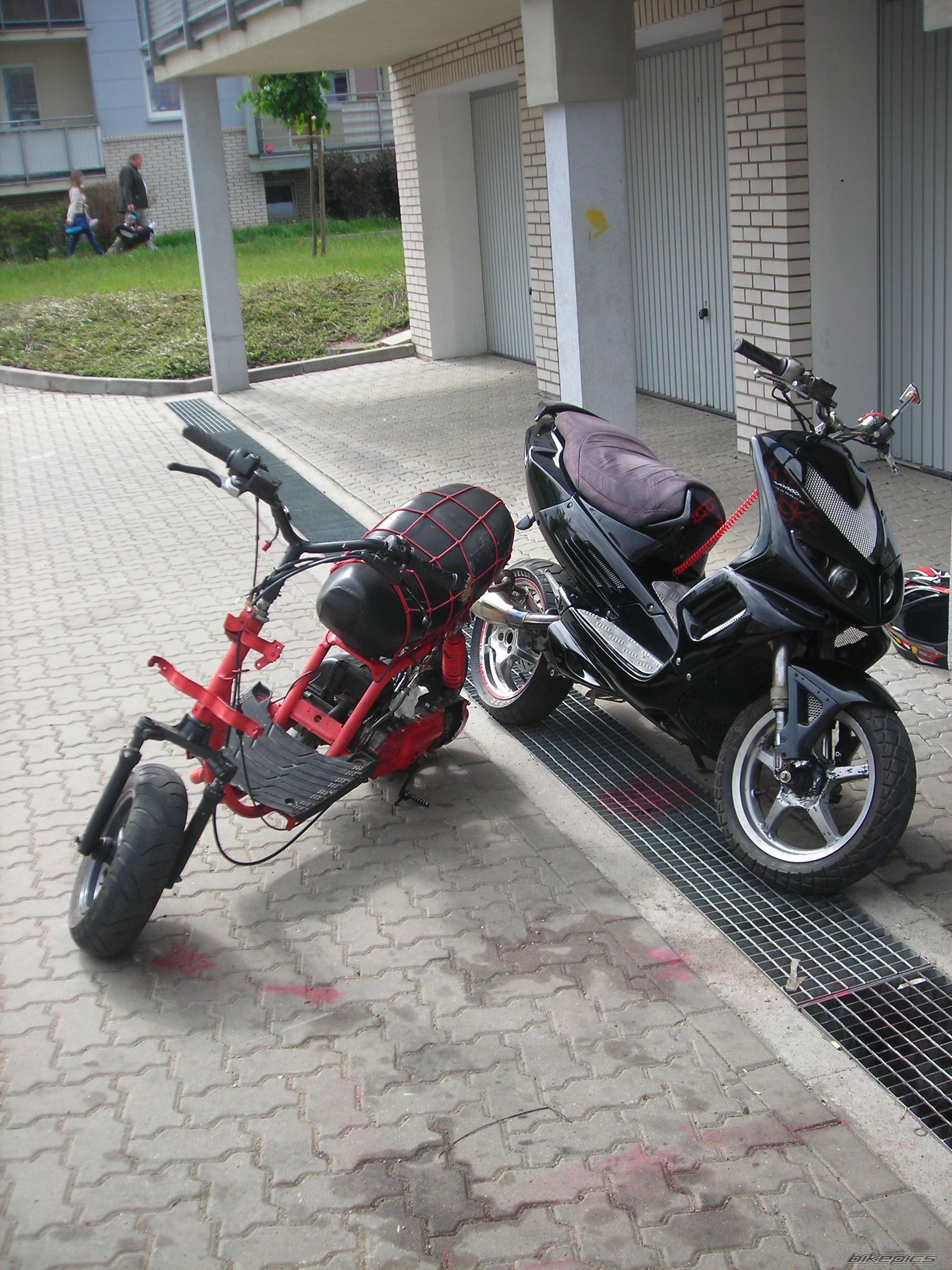 Photo 2409906