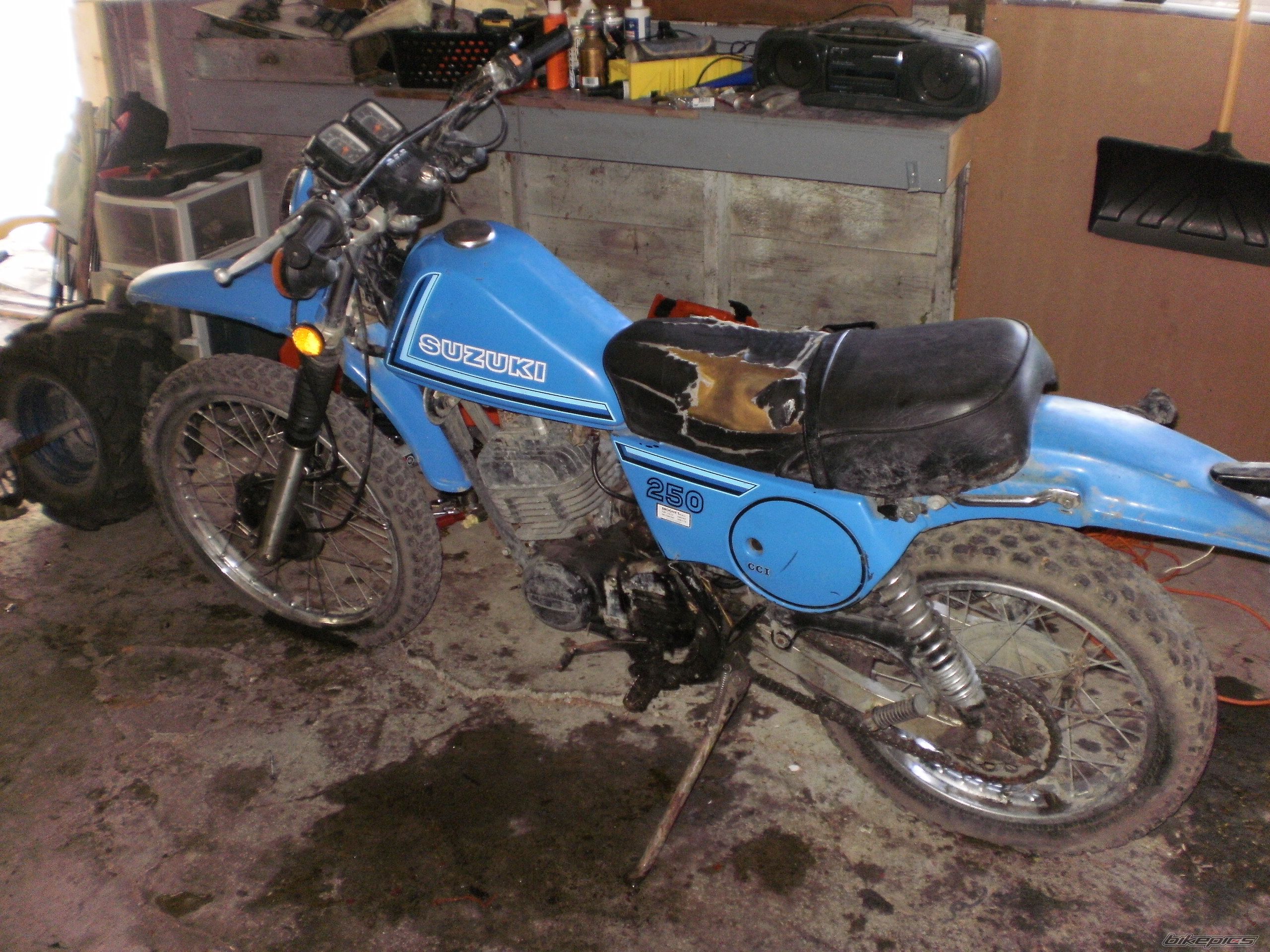 Photo 2409935