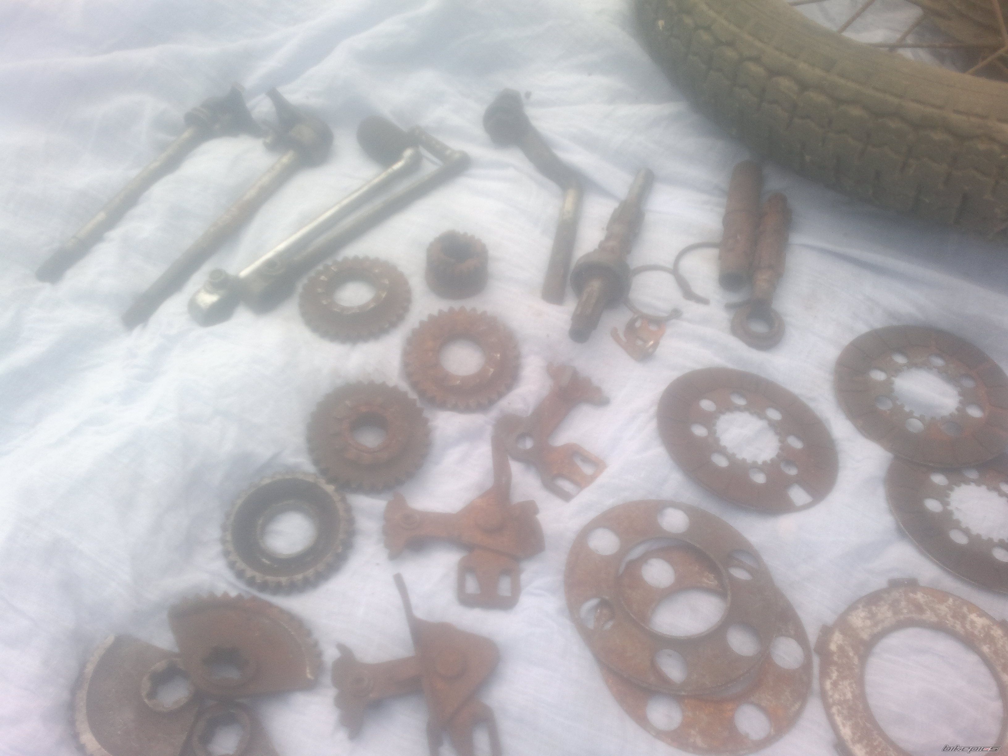 Photo 2409945
