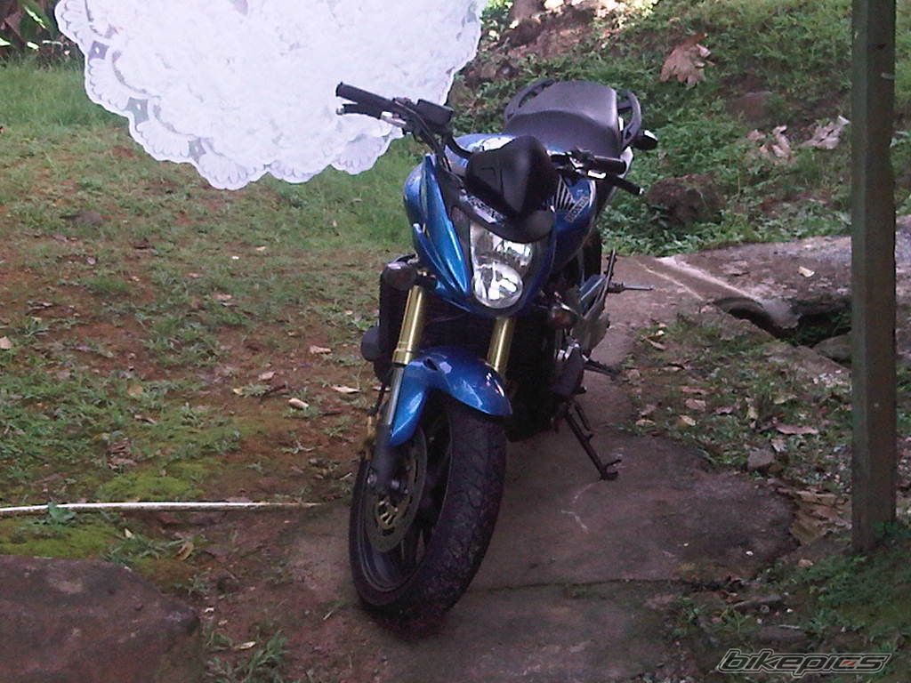 Photo 2410267