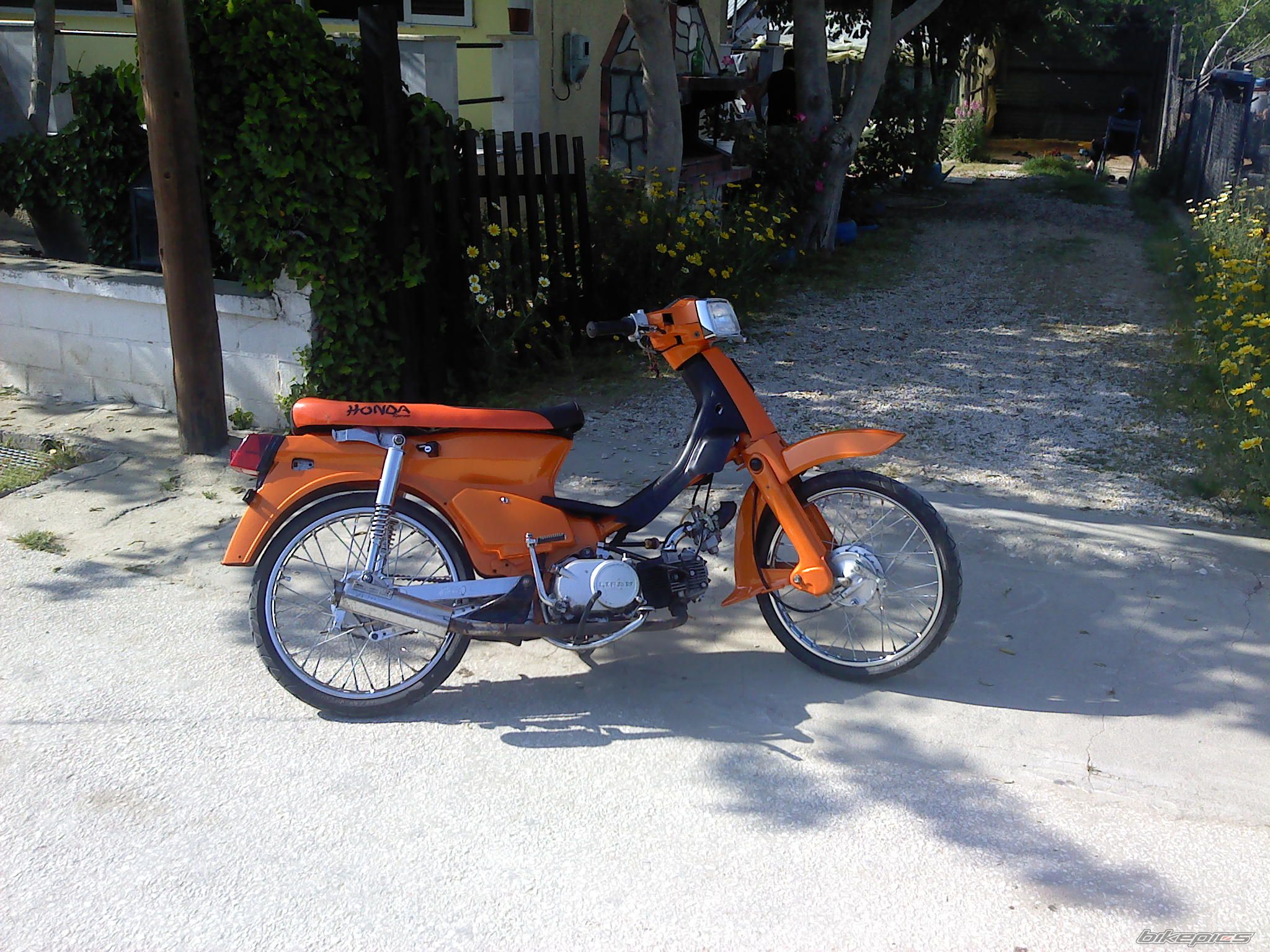 Photo 2410446