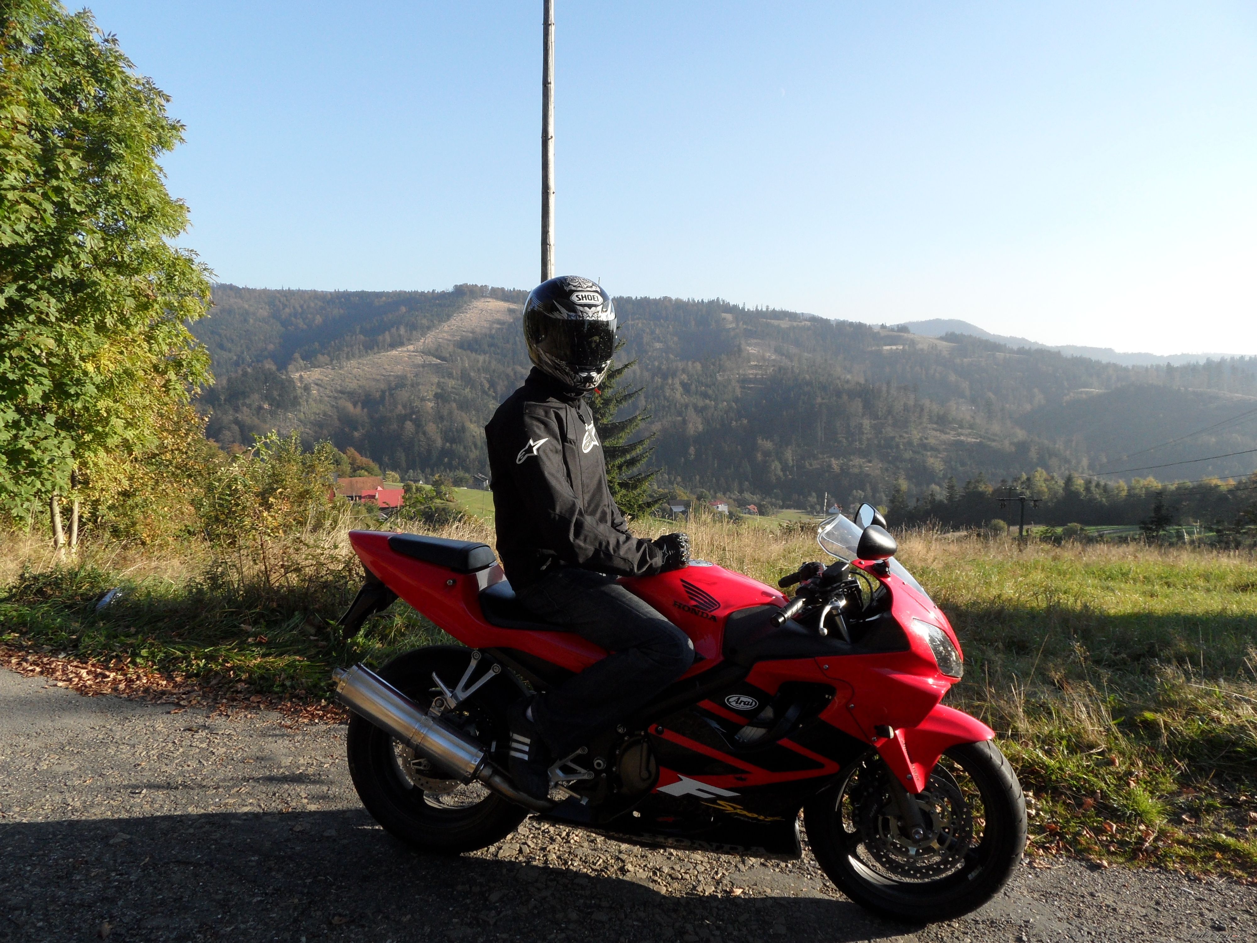 Photo 2410474