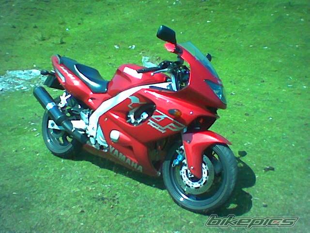 Photo 241050