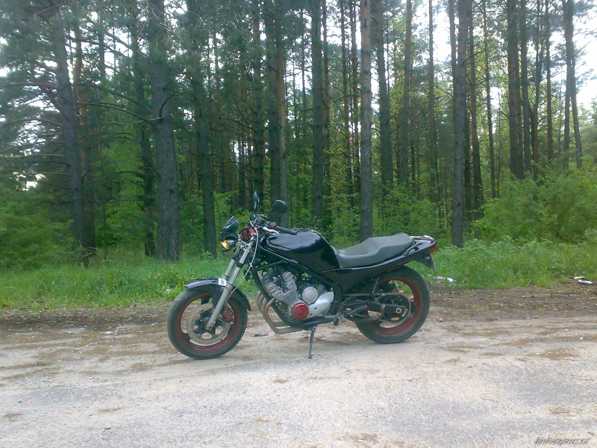 Photo 2410643