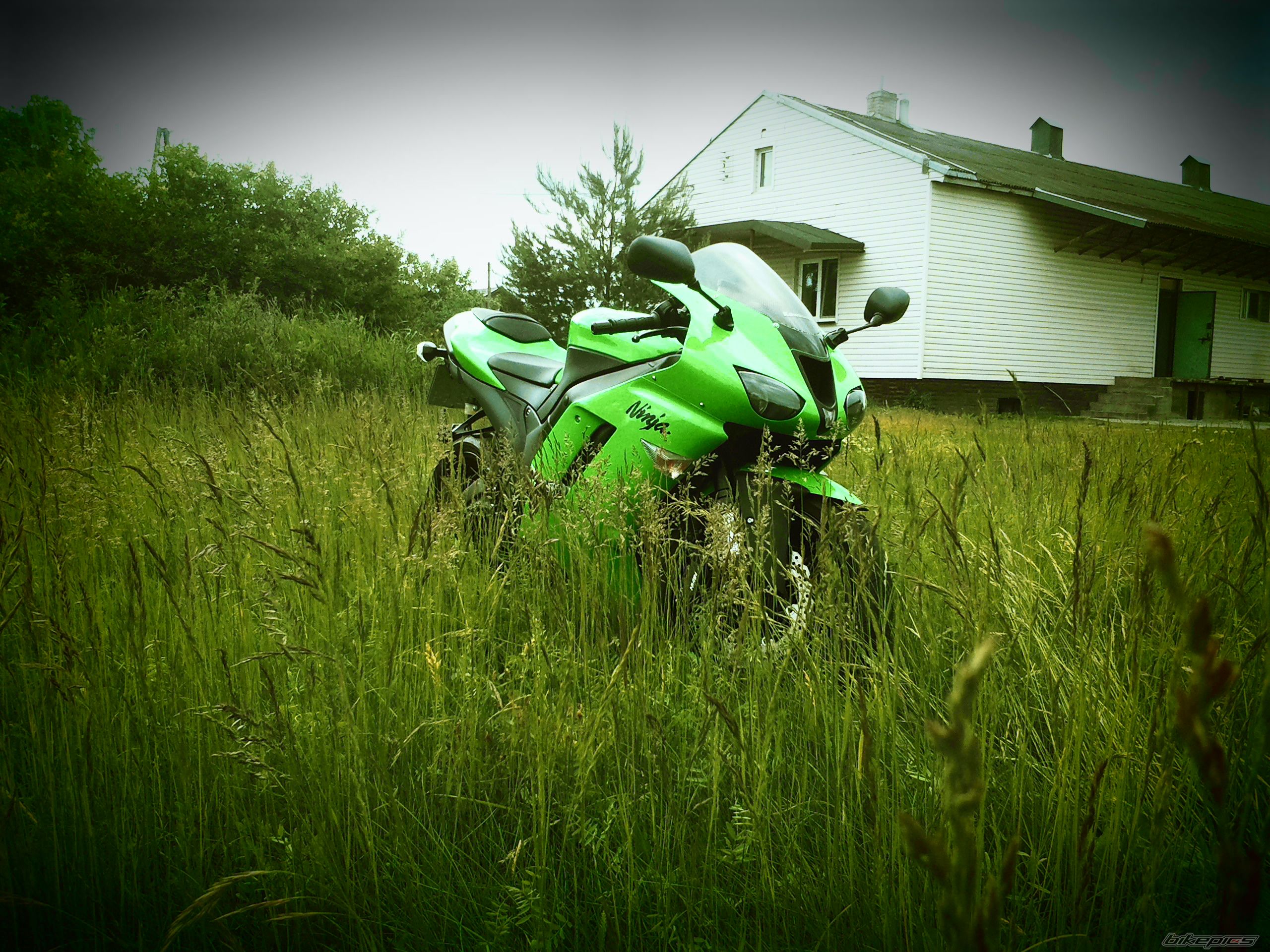 Photo 2410668