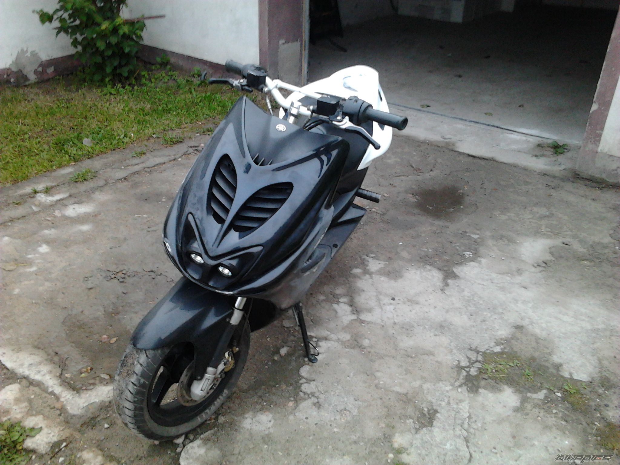 Photo 2410825