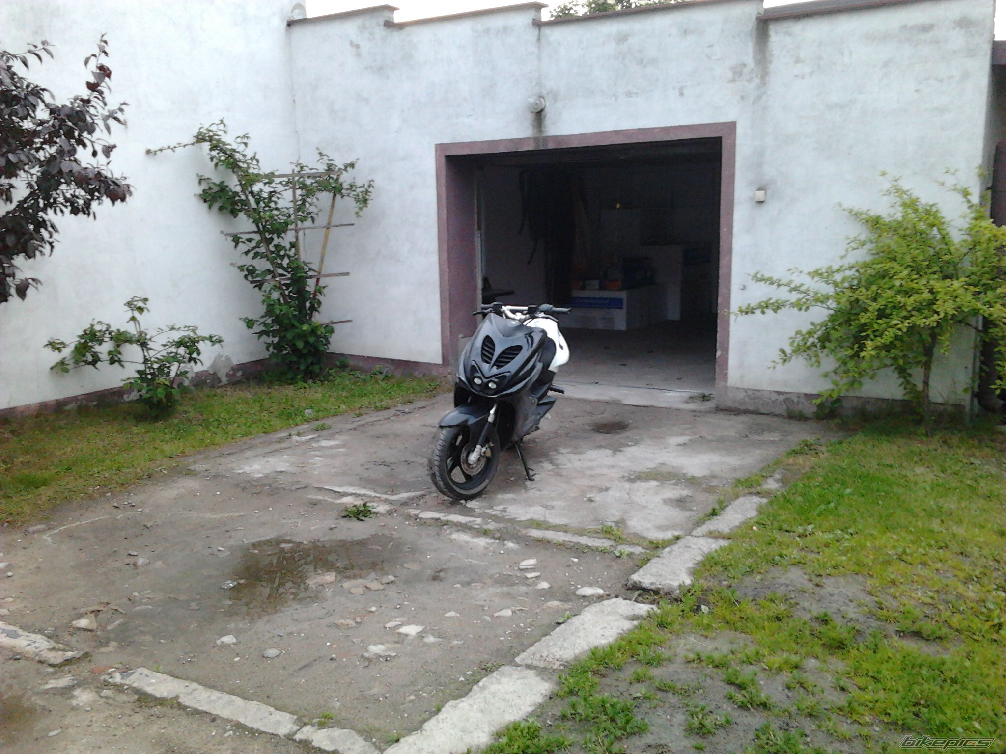 Photo 2410839