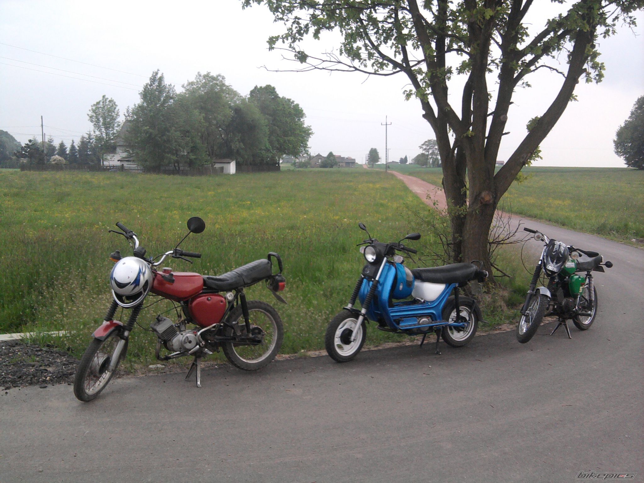 Photo 2410871
