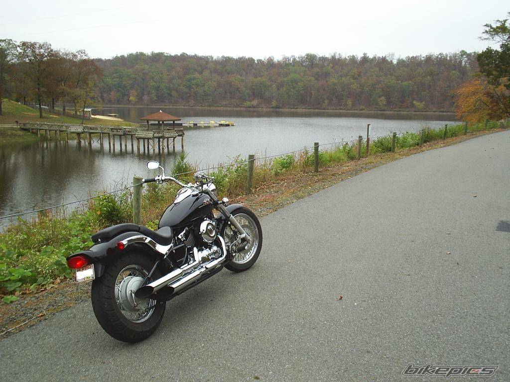 Photo 241101