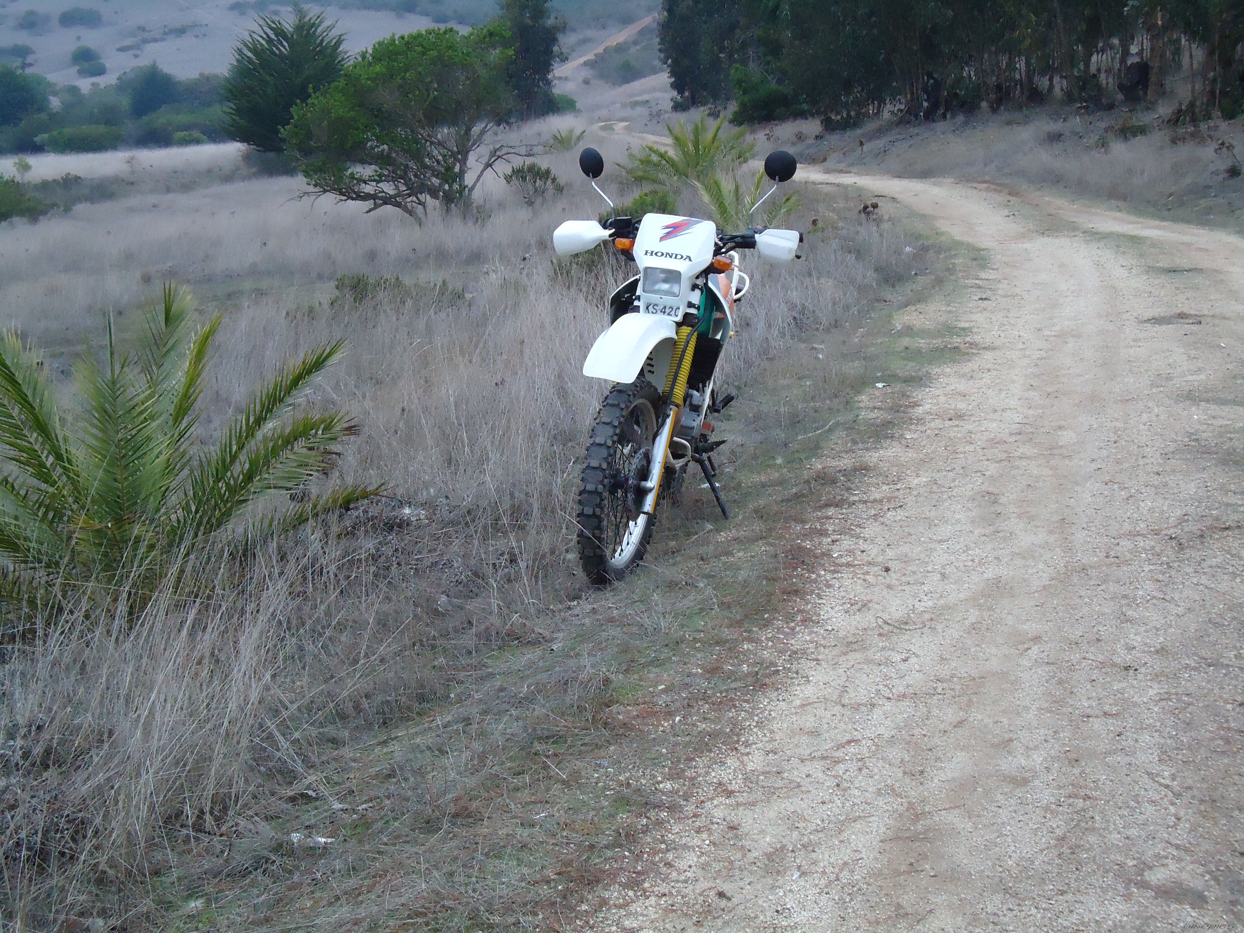 Bike Photo 2411027