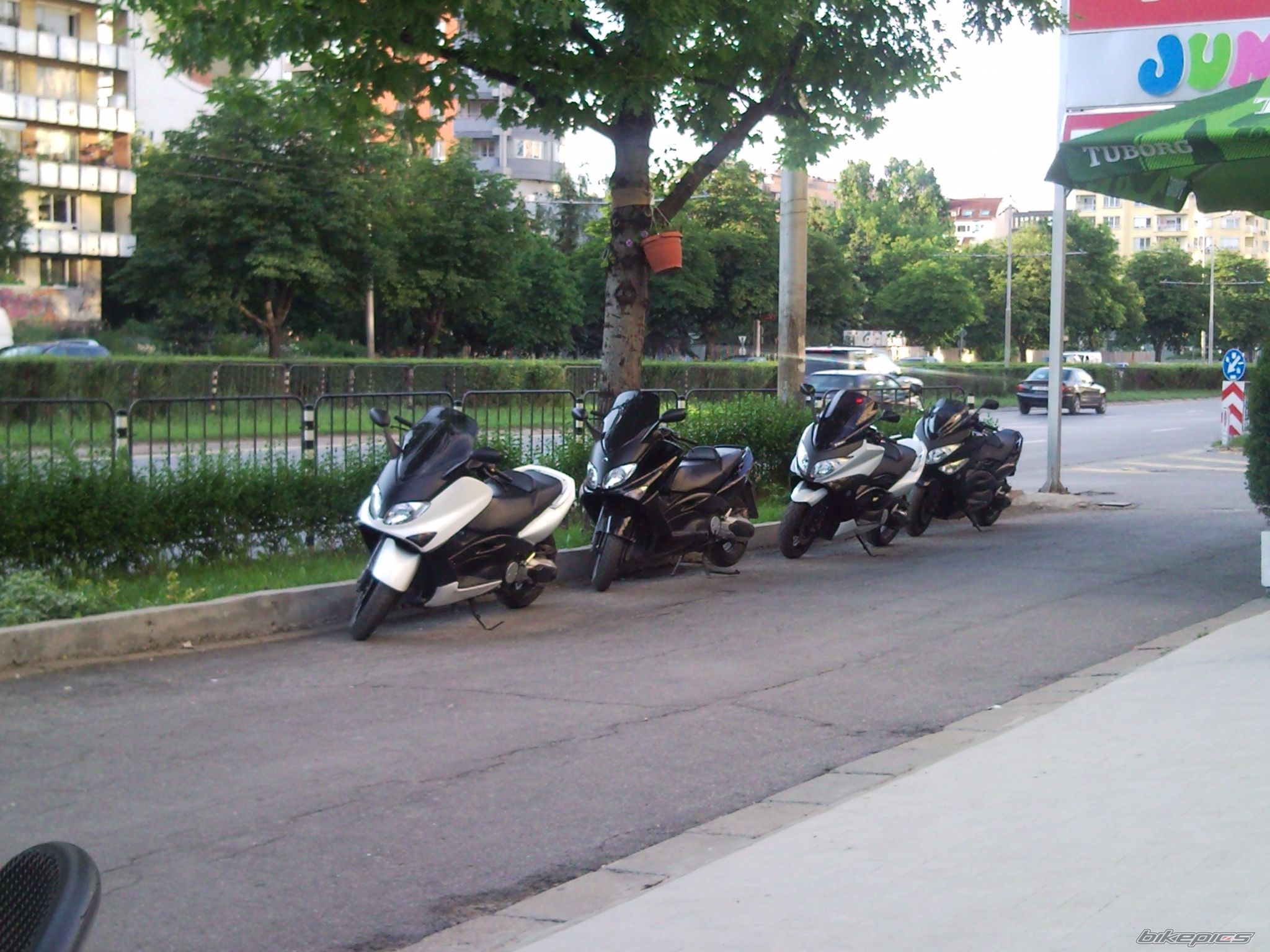 Photo 2411037