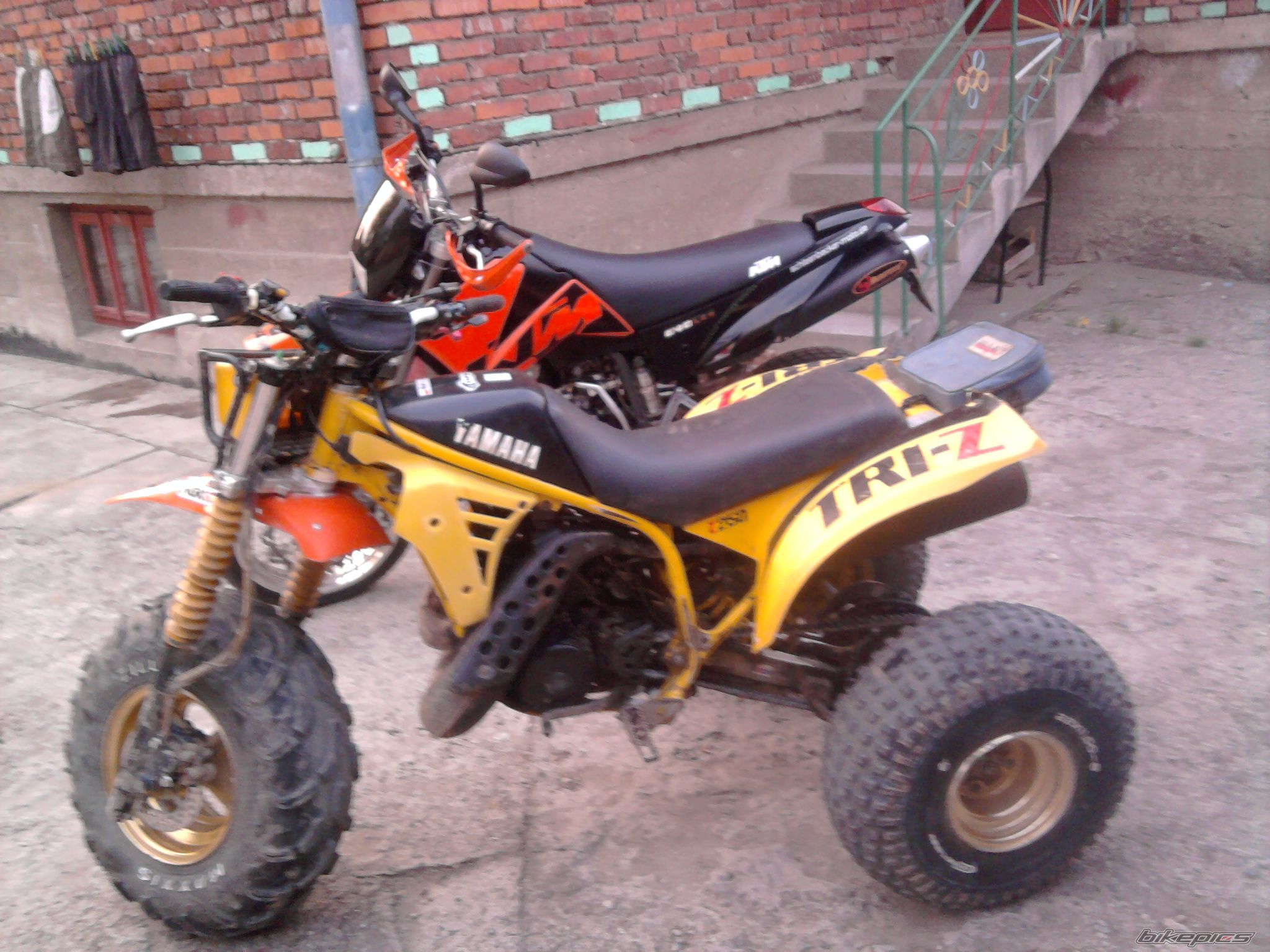 Photo 2411056