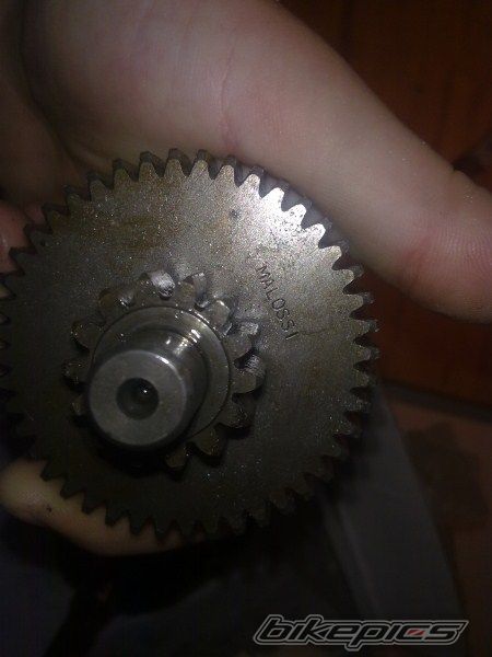 Photo 2411231