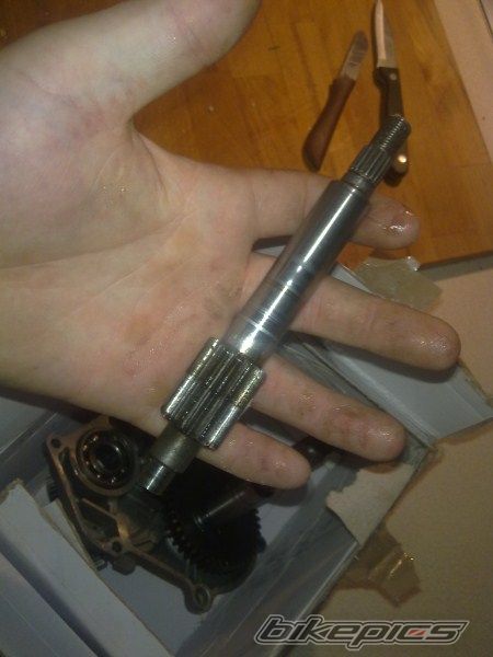 Photo 2411232
