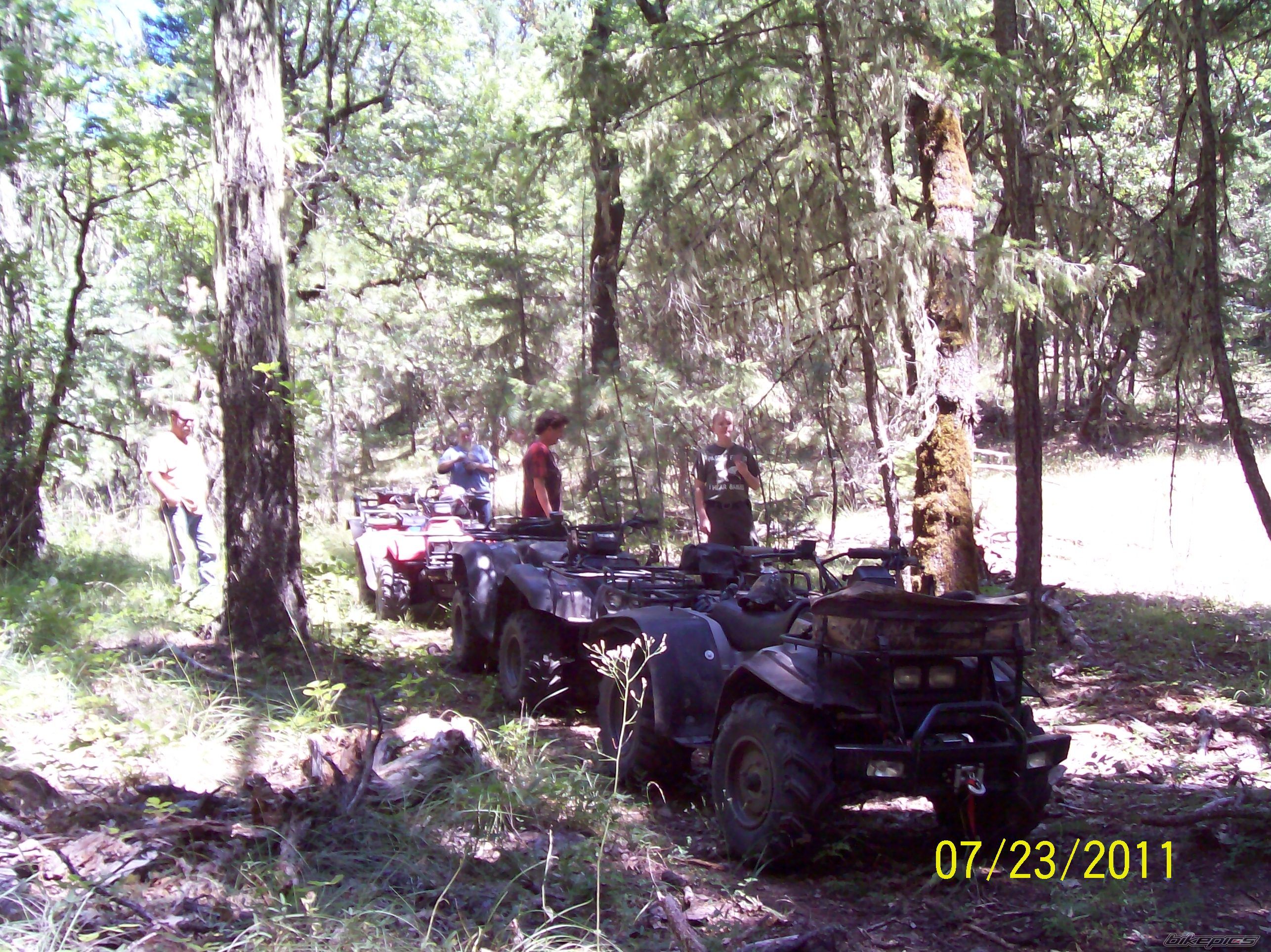 Photo 2411244