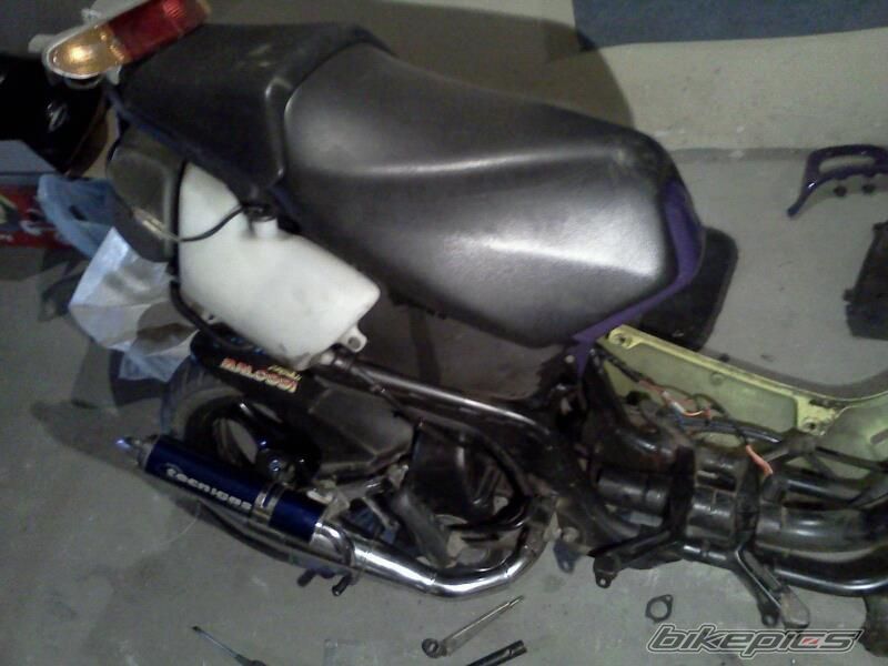 Photo 2411255